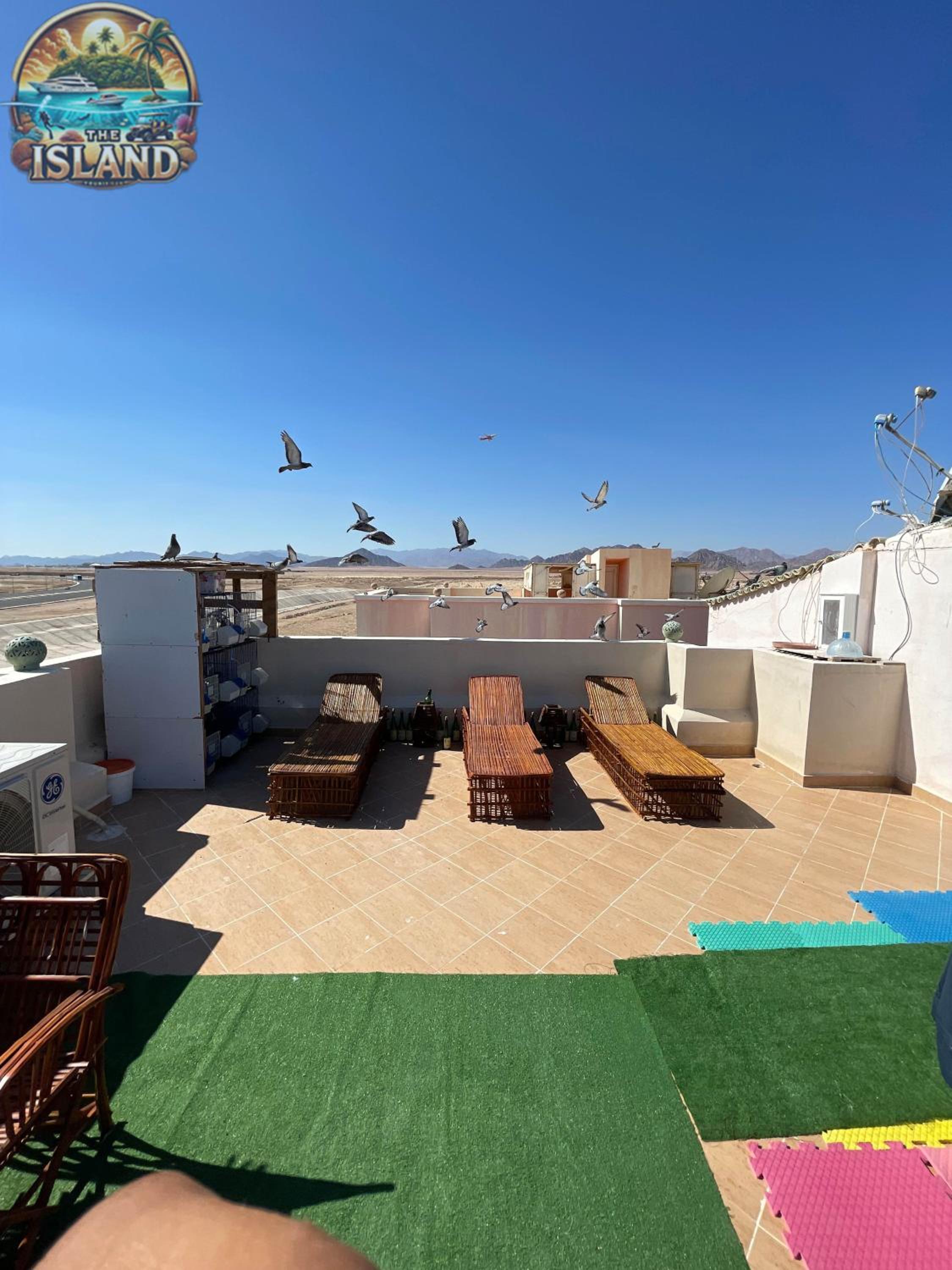 King Room with Garden View photo 3