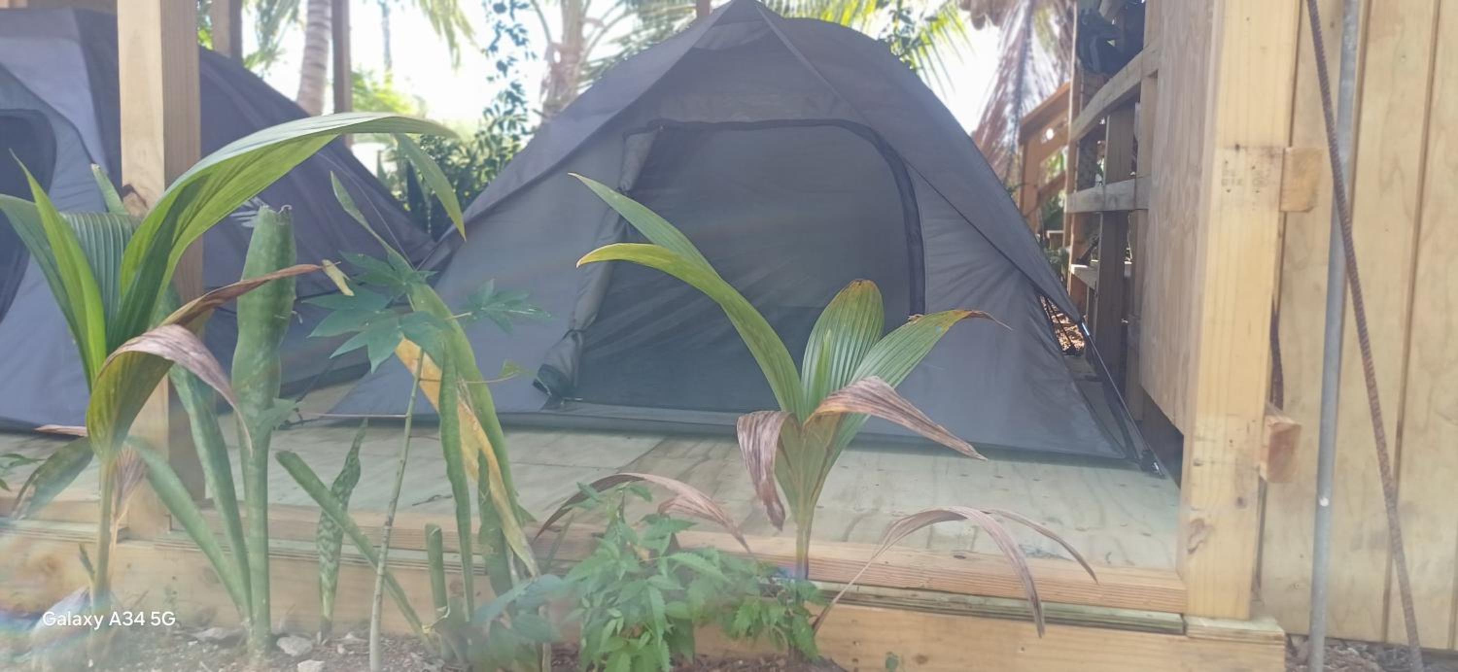 Tent photo 3