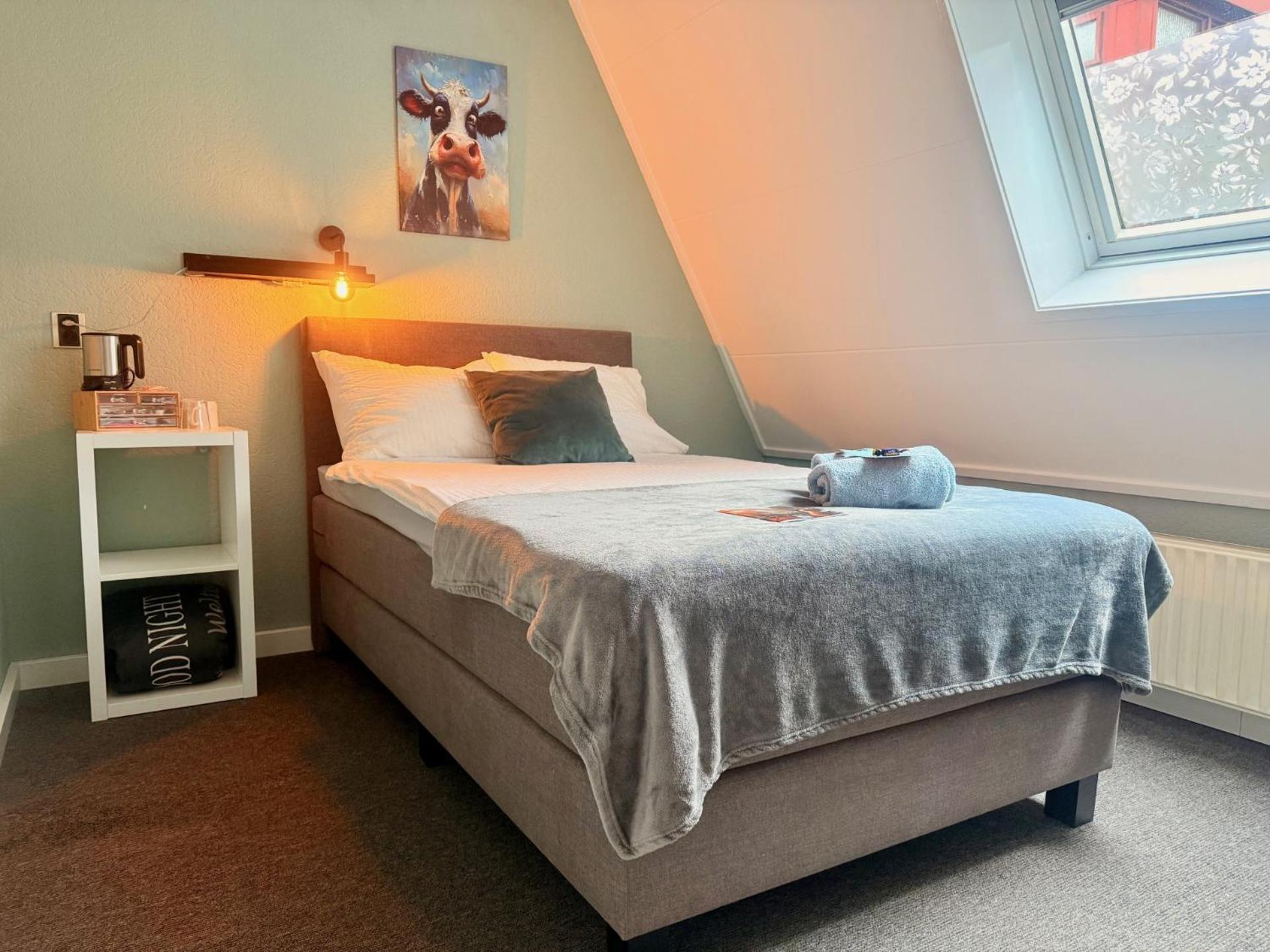 Large Single Room