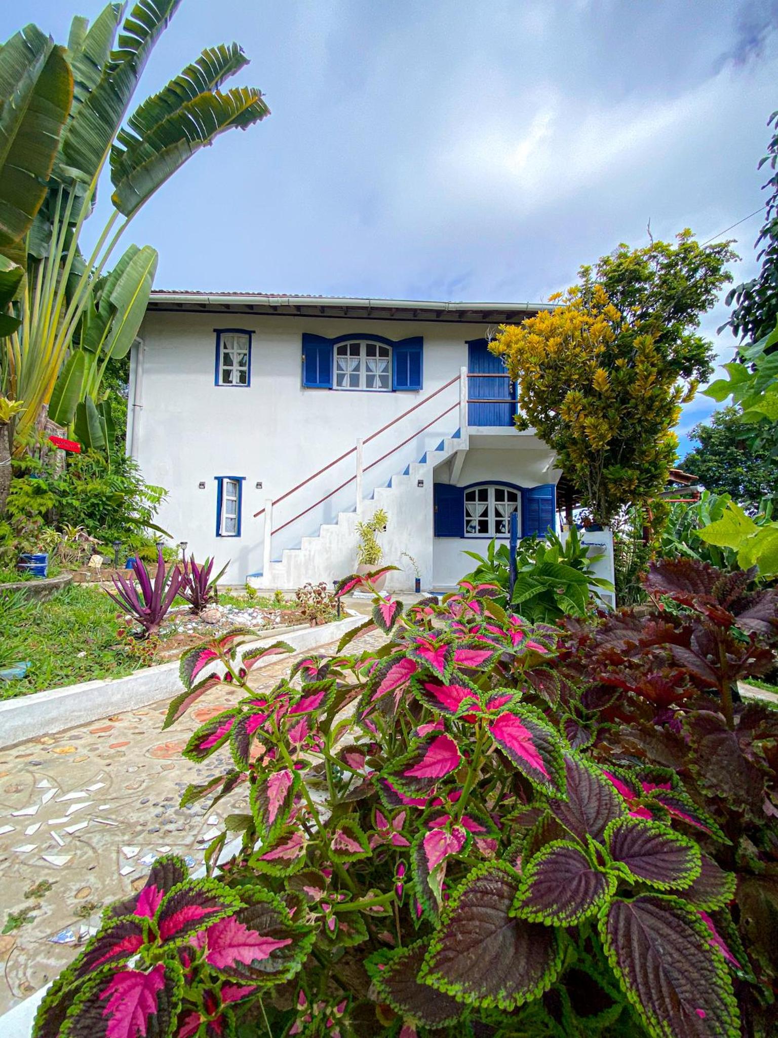 Suite with Garden View photo 1