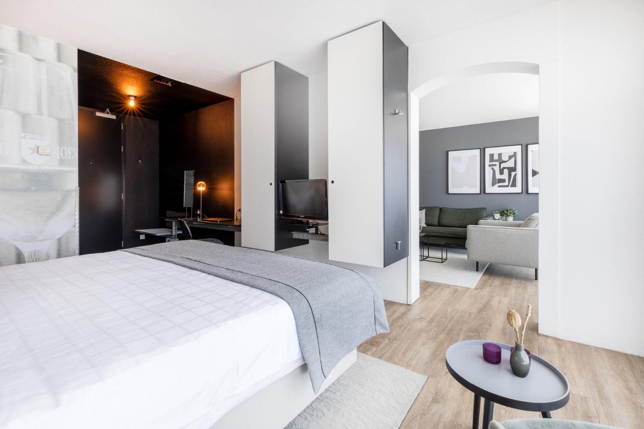 One-Bedroom Suite - Photo 4