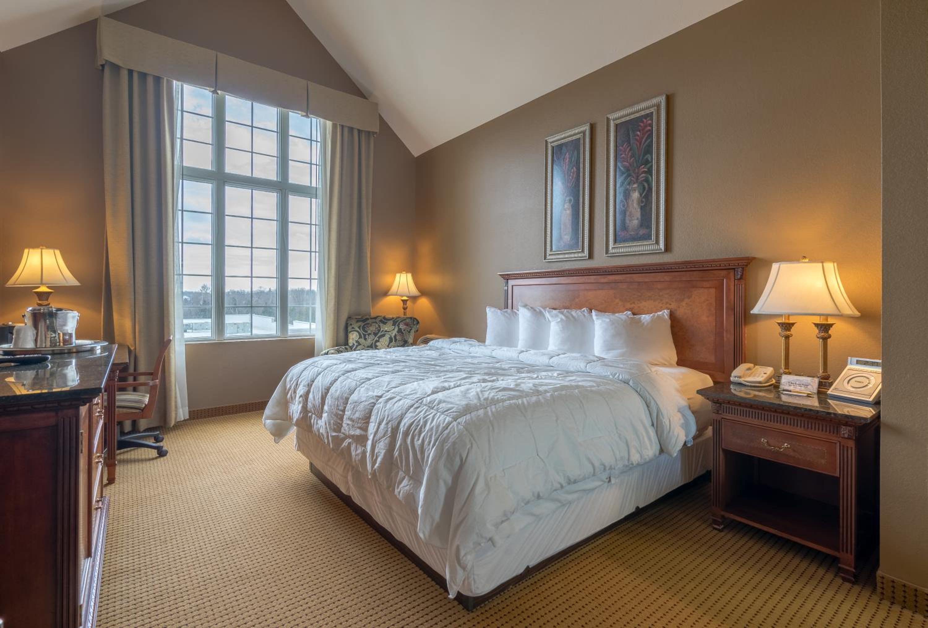 Deluxe King Suite with Sofa Bed - Photo 1