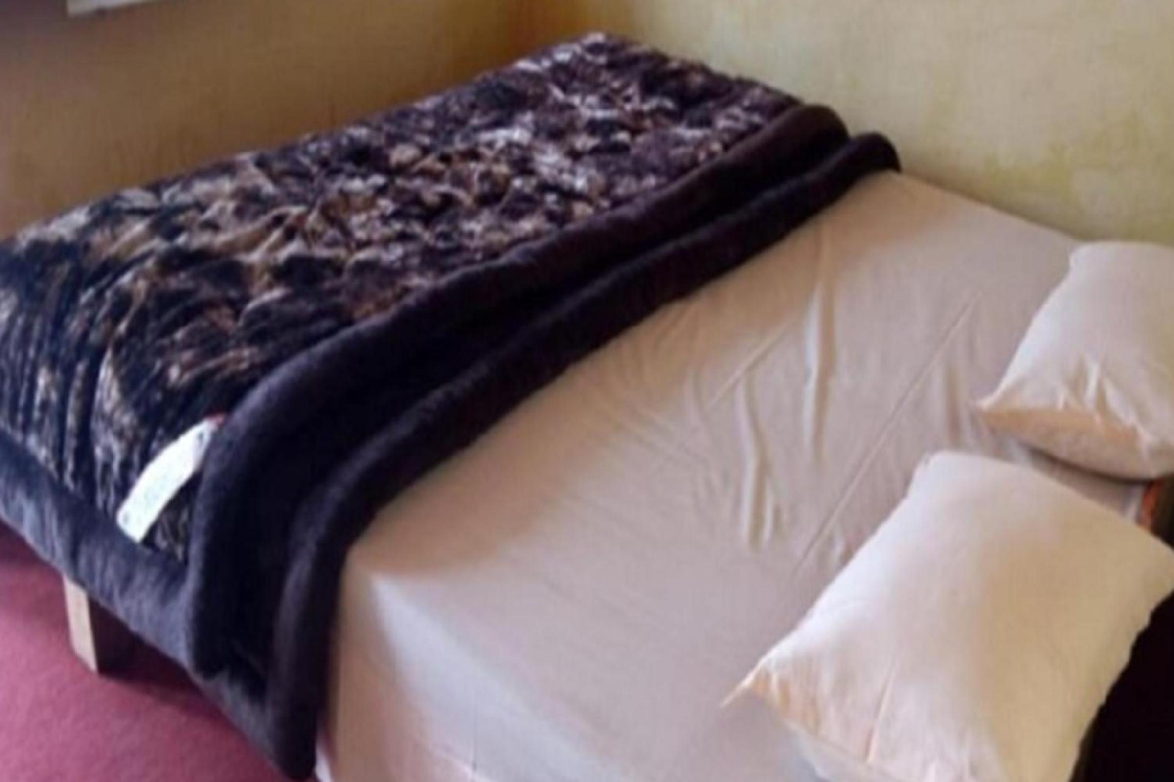 Single Bed in 6-Bed Dormitory Room photo 2