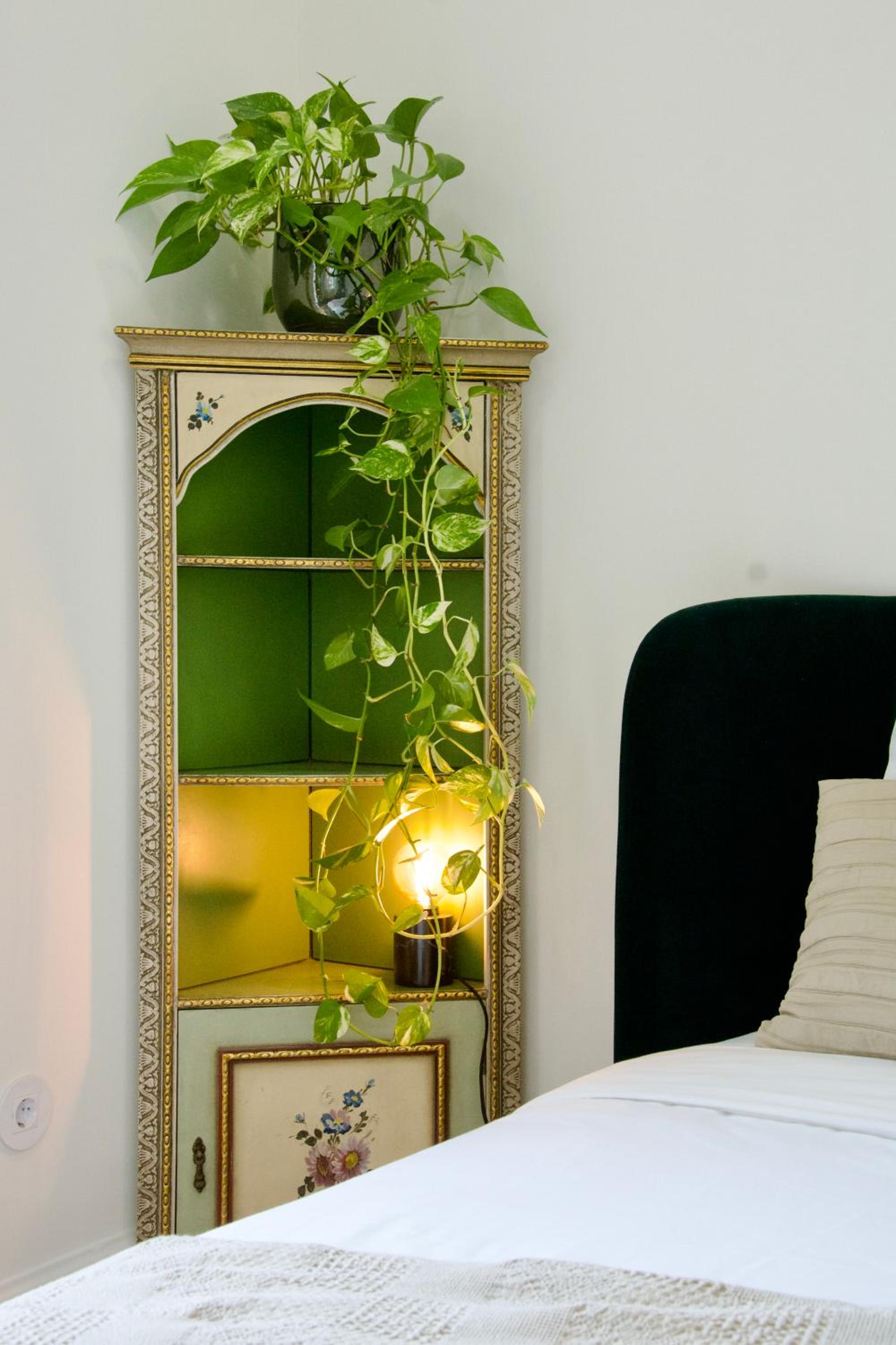 Queen Room photo 2
