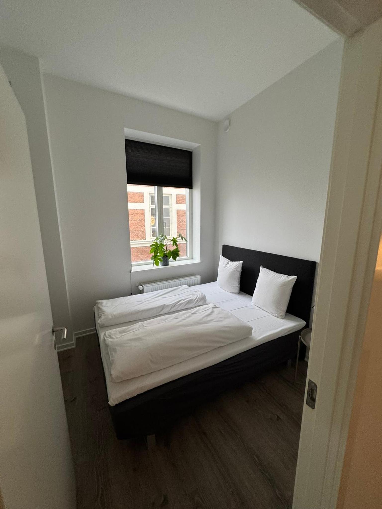 Two-Bedroom Deluxe Apartment - Photo 2