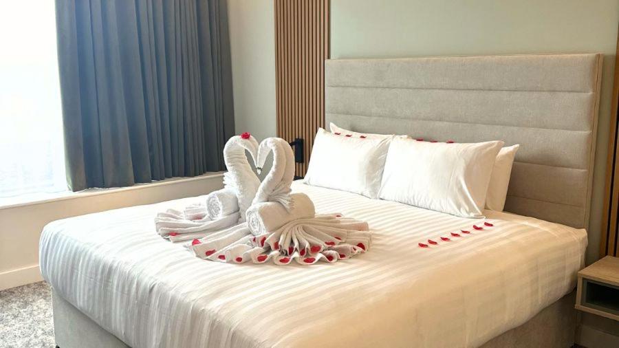 Executive Suite - Photo 2