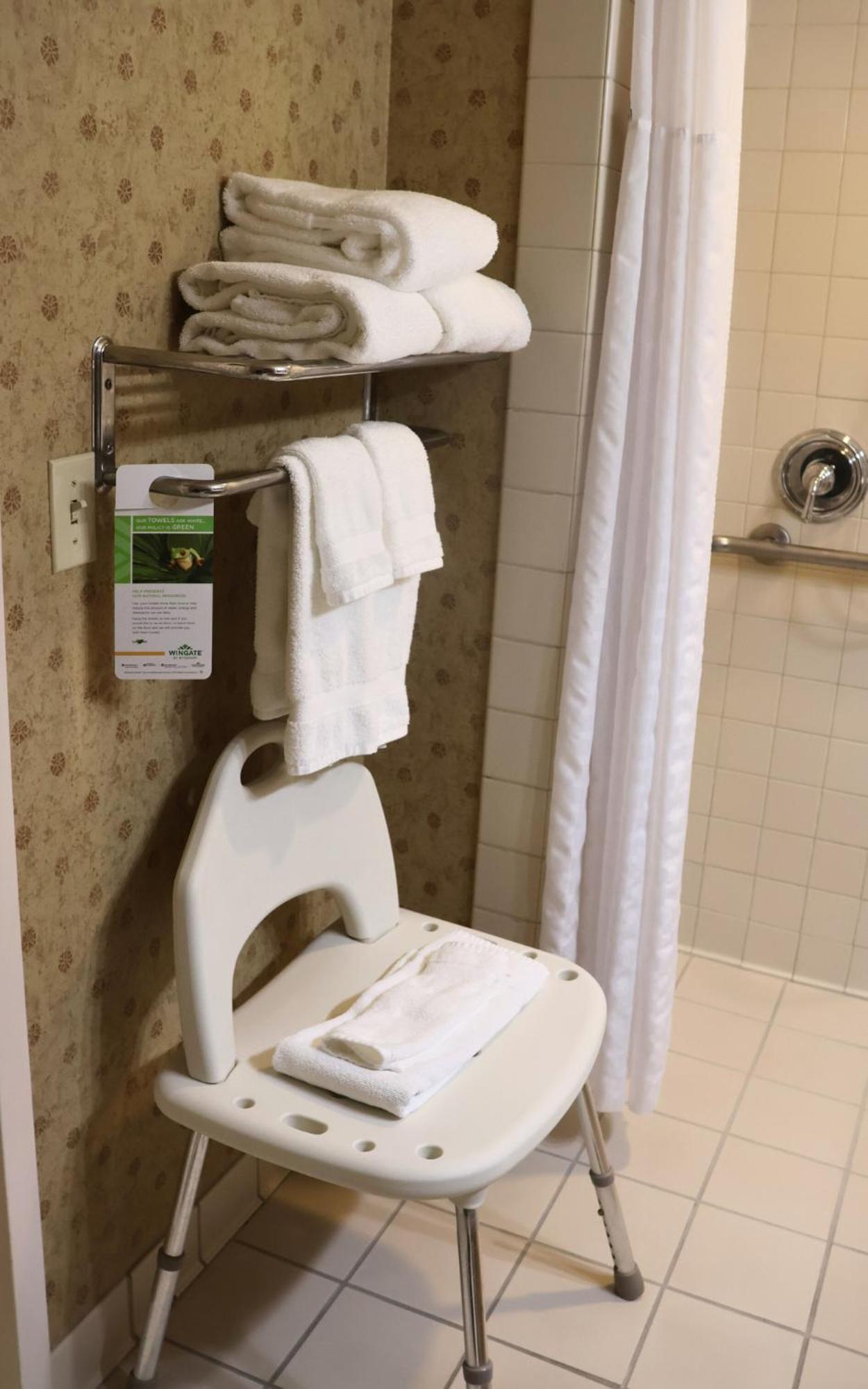 King Room with Roll-in Shower - Mobility Access/Non-Smoking - Photo 4