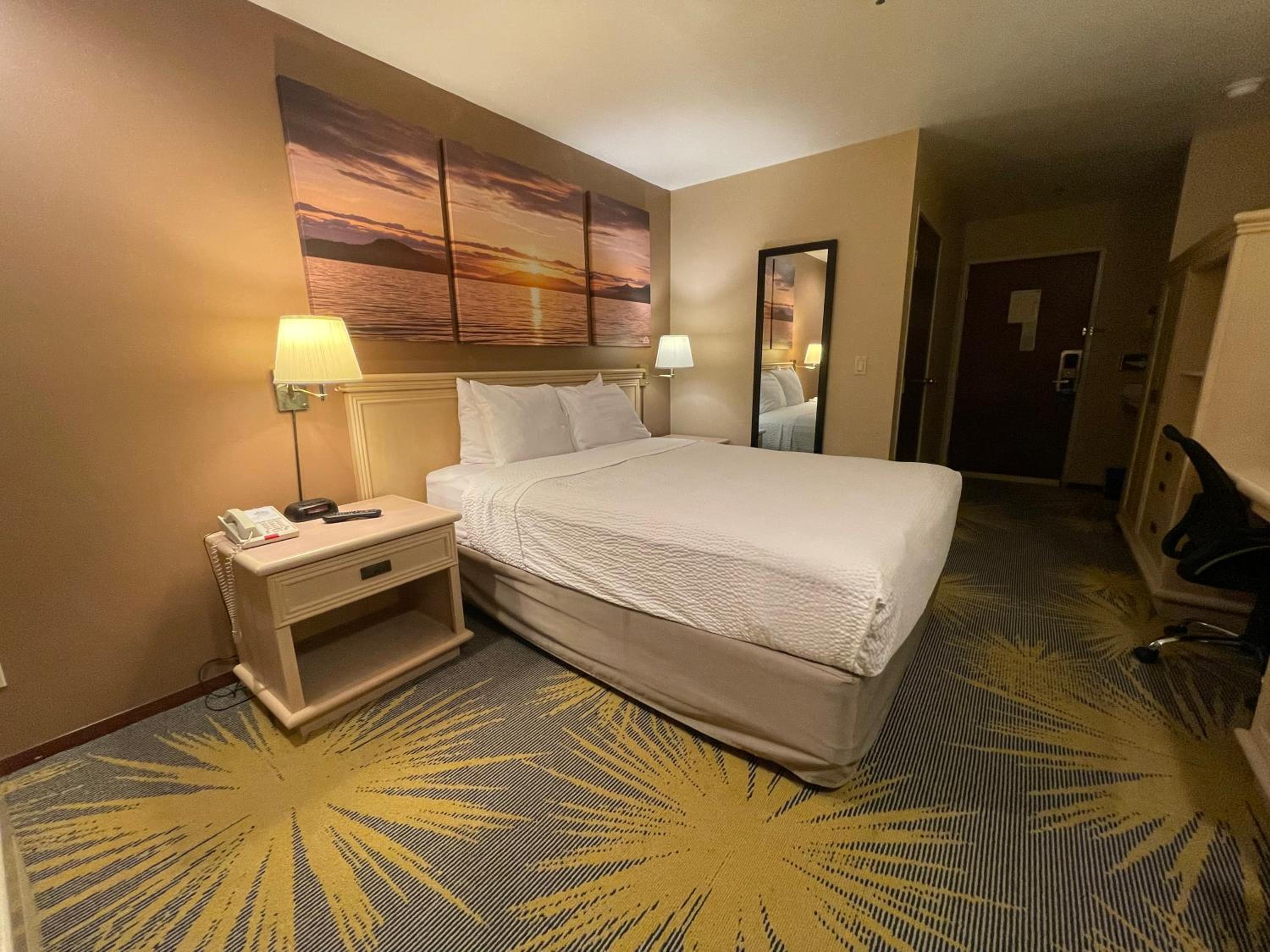 1 Queen Bed, Mobility Accessible Room, Bathtub w/ Grab Bars,Non-Smoking - Photo 7