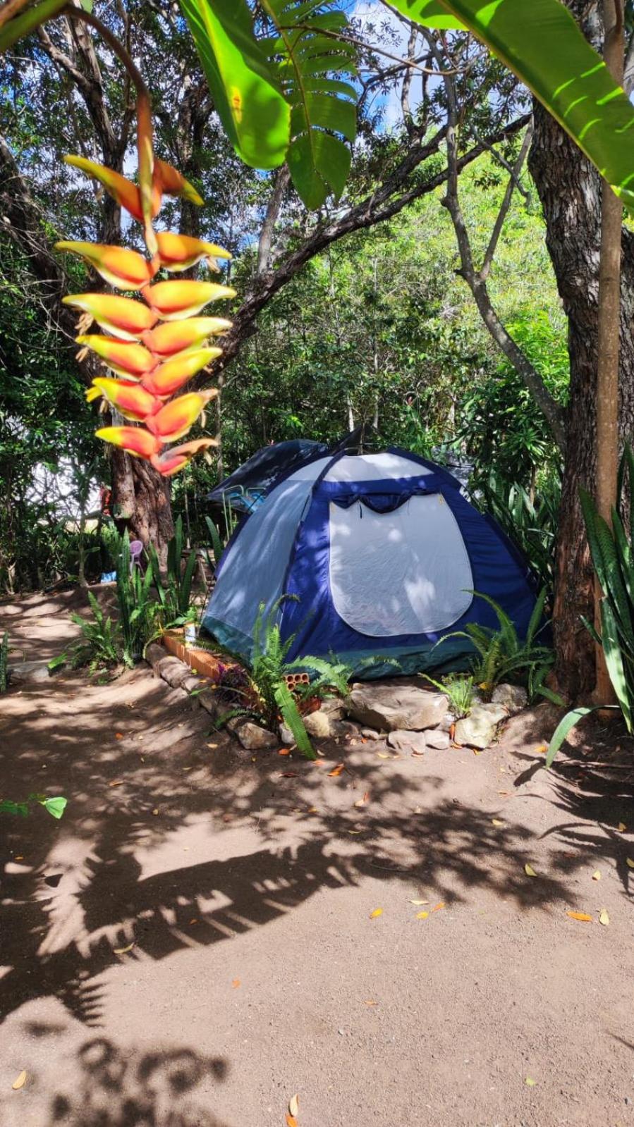Tent photo 2