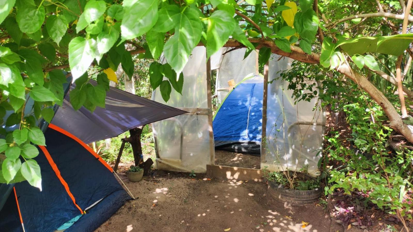 Tent photo 3