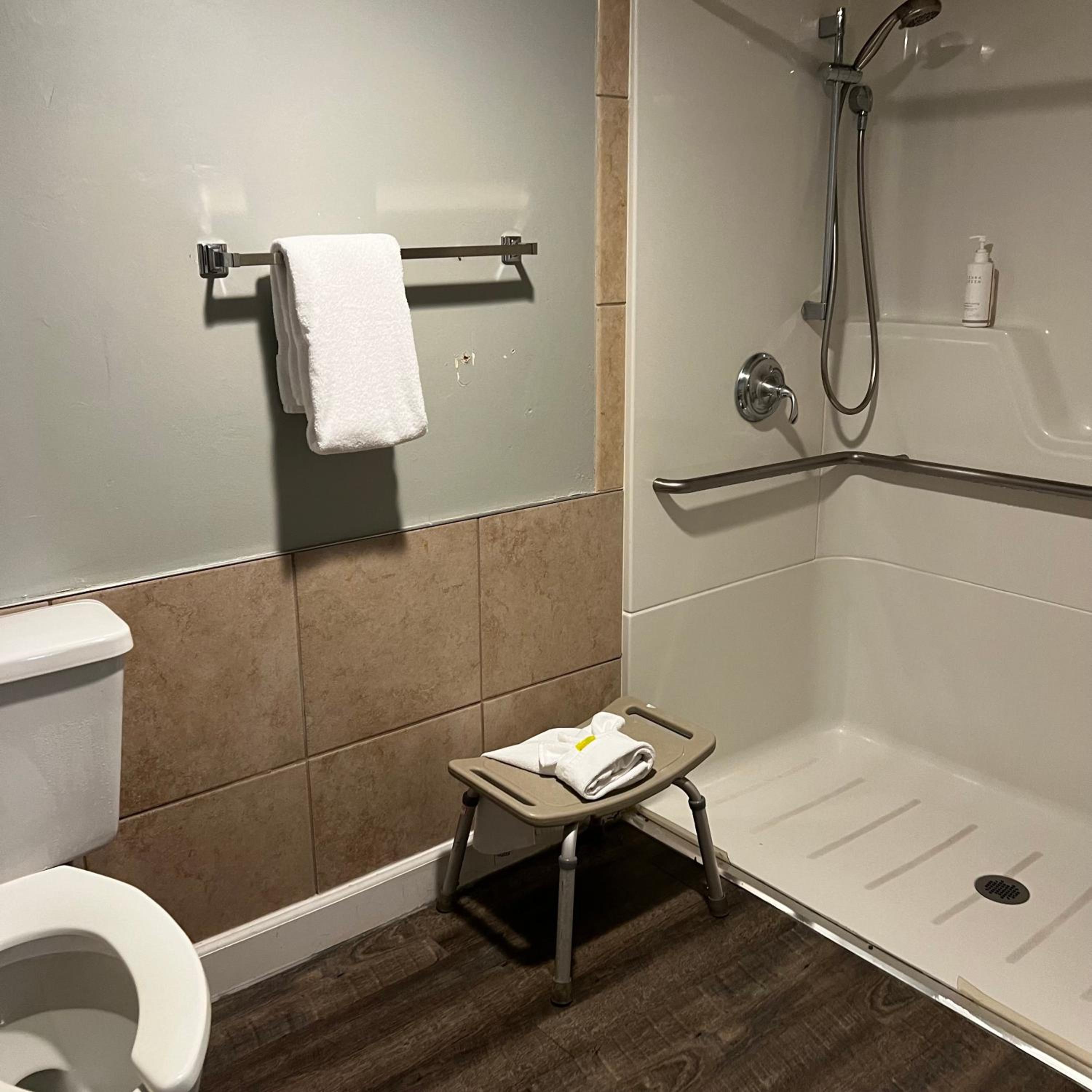 1 Queen Bed, Mobility Accessible Room, Bathtub w/ Grab Bars,Non-Smoking - Photo 9