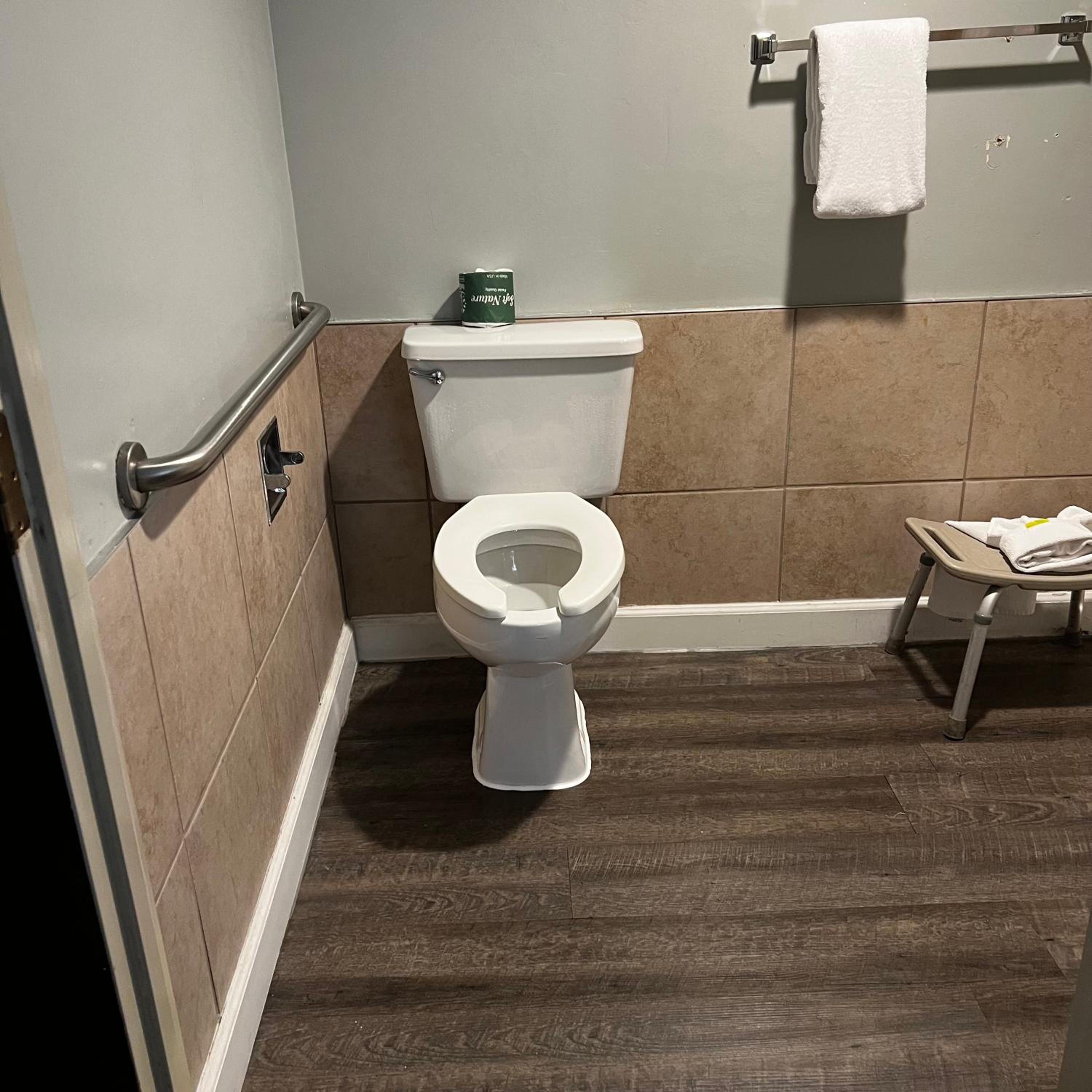 1 Queen Bed, Mobility Accessible Room, Bathtub w/ Grab Bars,Non-Smoking - Photo 10