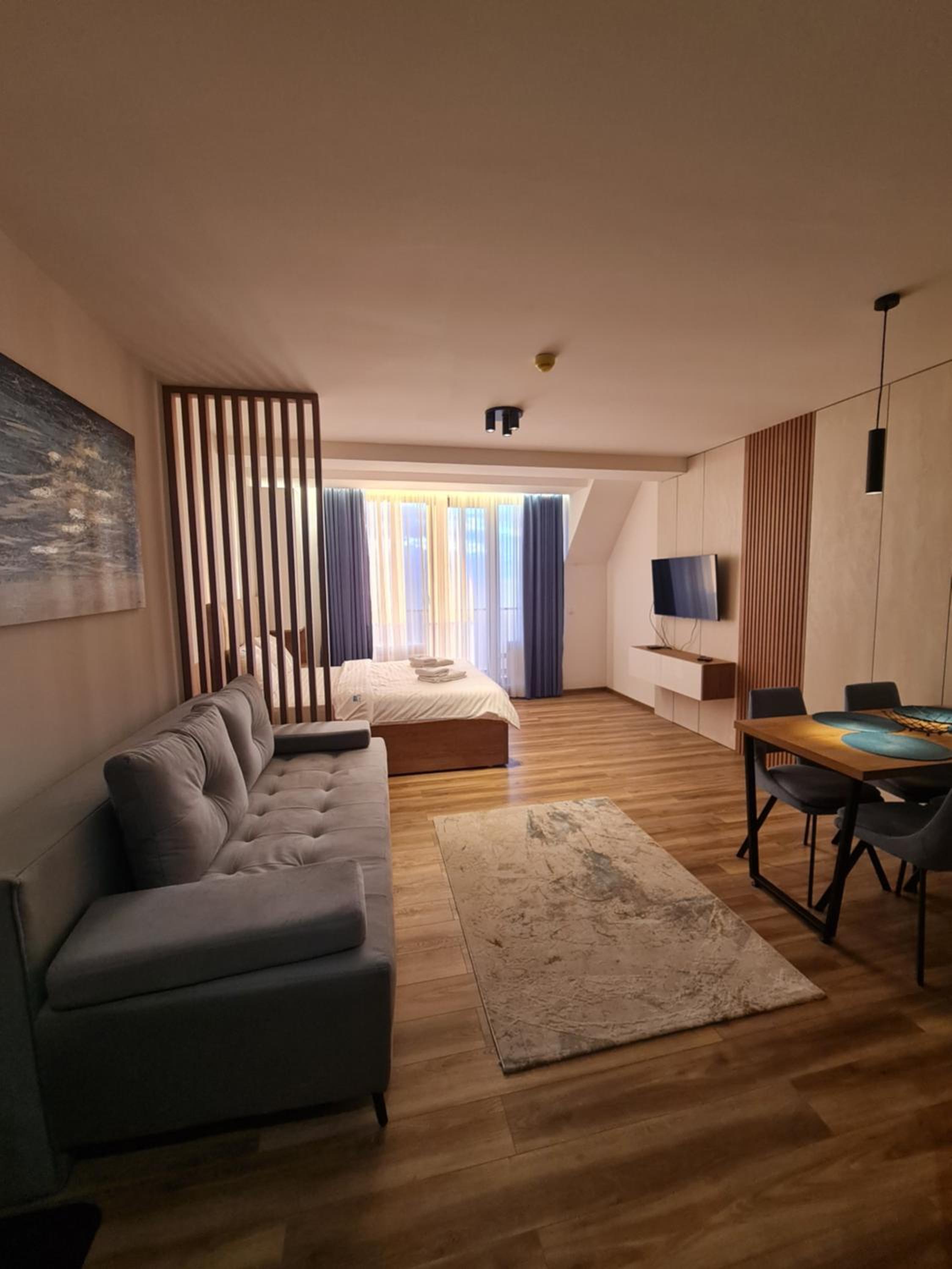 One-Bedroom Apartment with Balcony and Mountain View