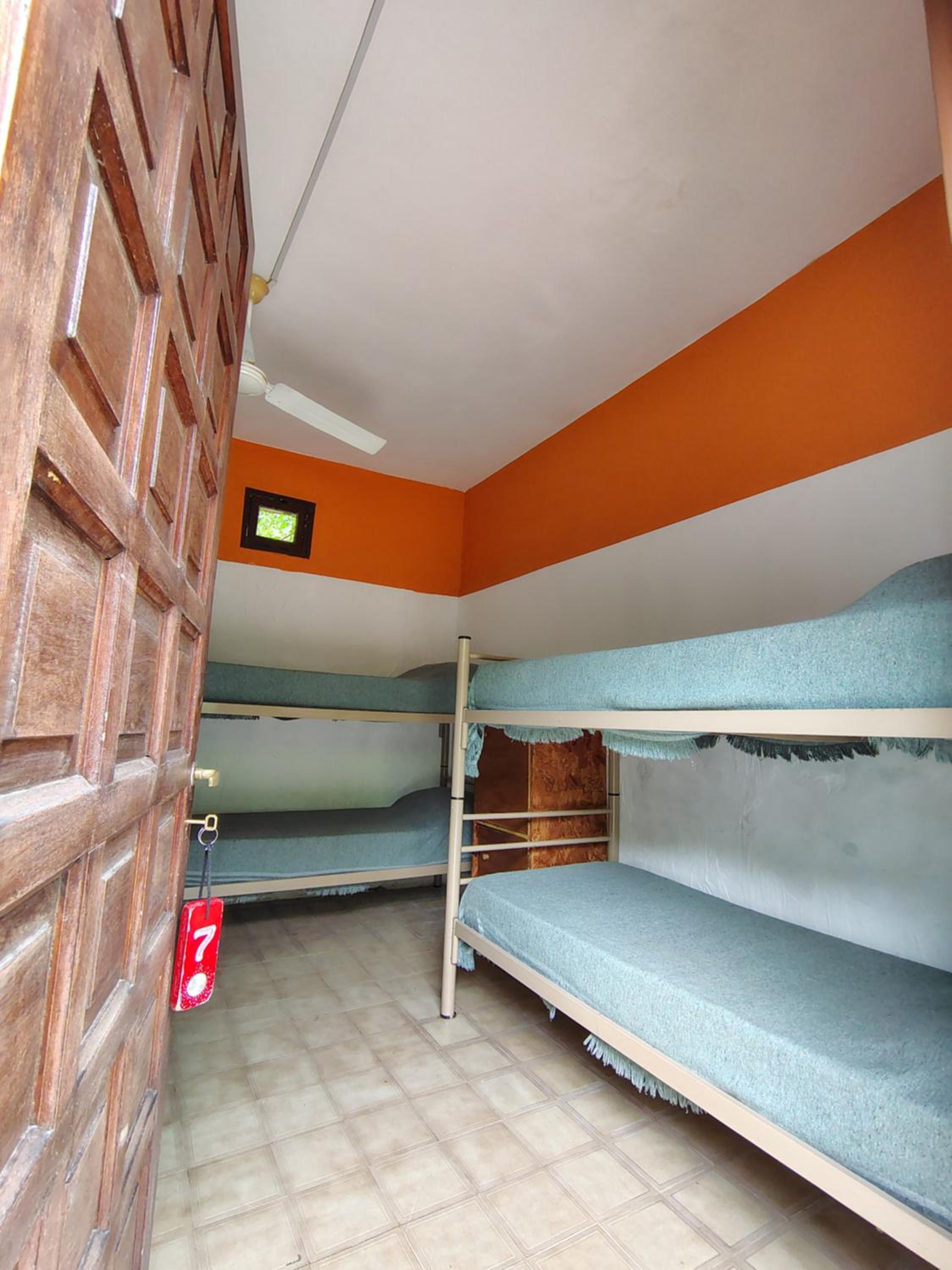 Bunk Bed in Mixed Dormitory Room