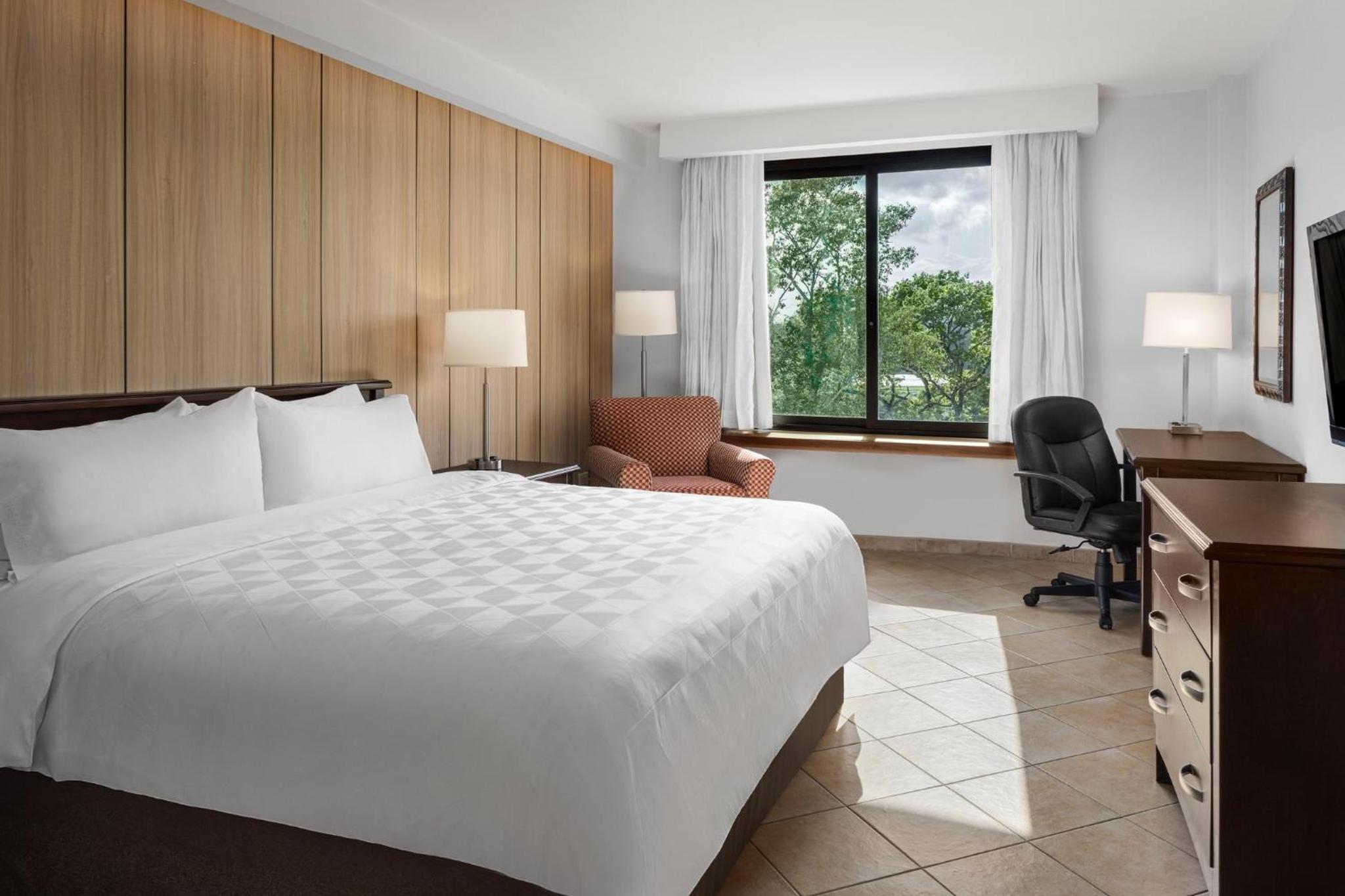 Premium King Room - Photo 2