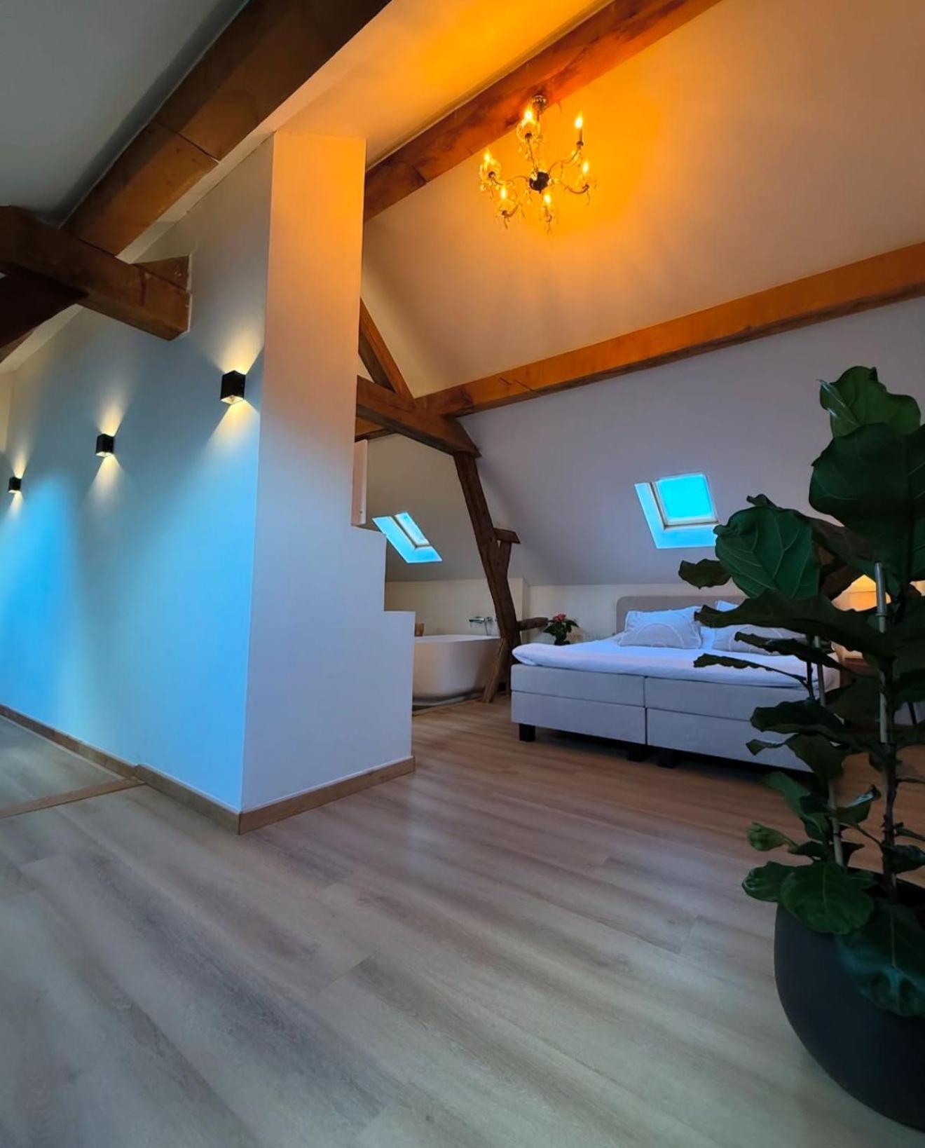 Suite photo 2