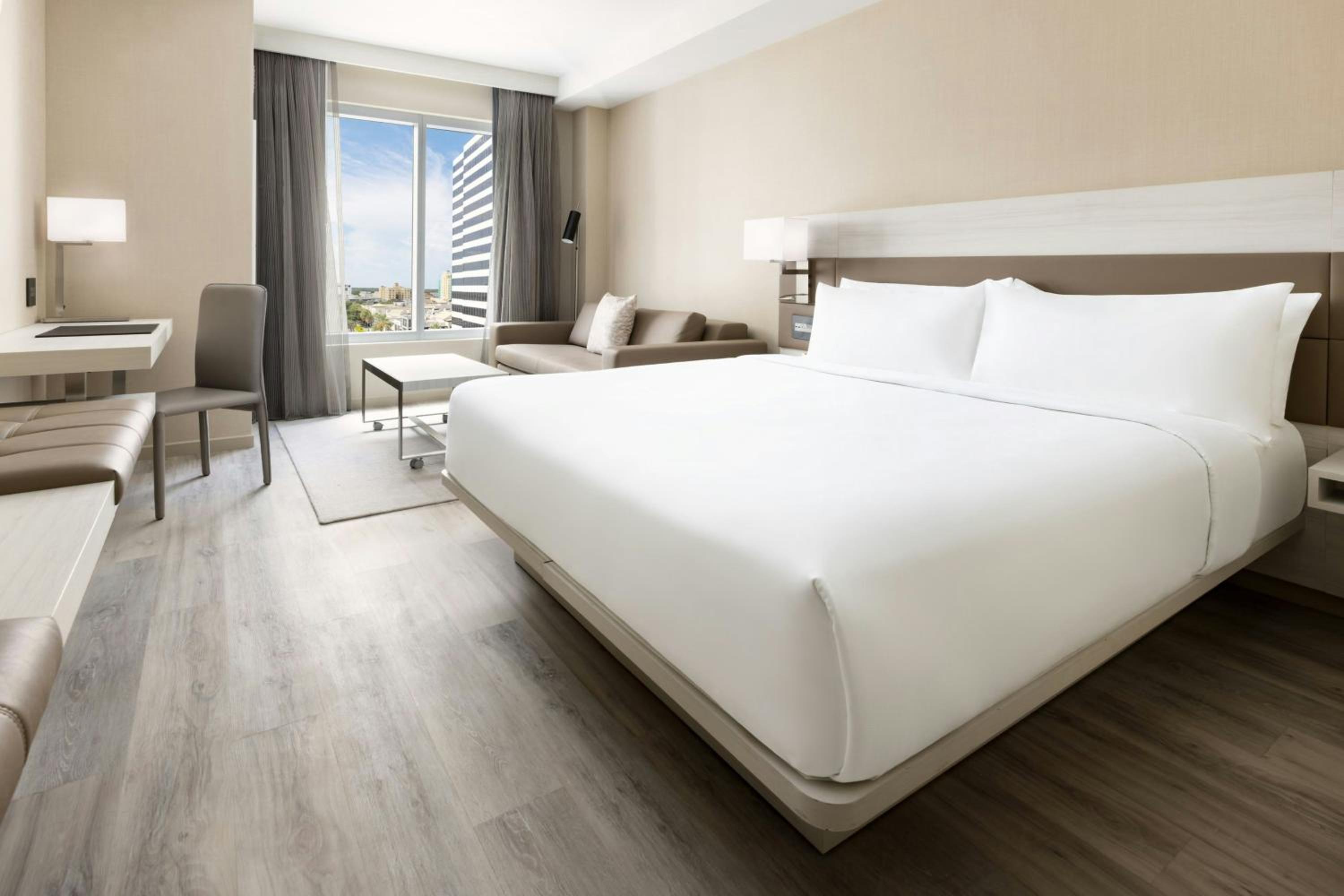 King Room - Photo 6