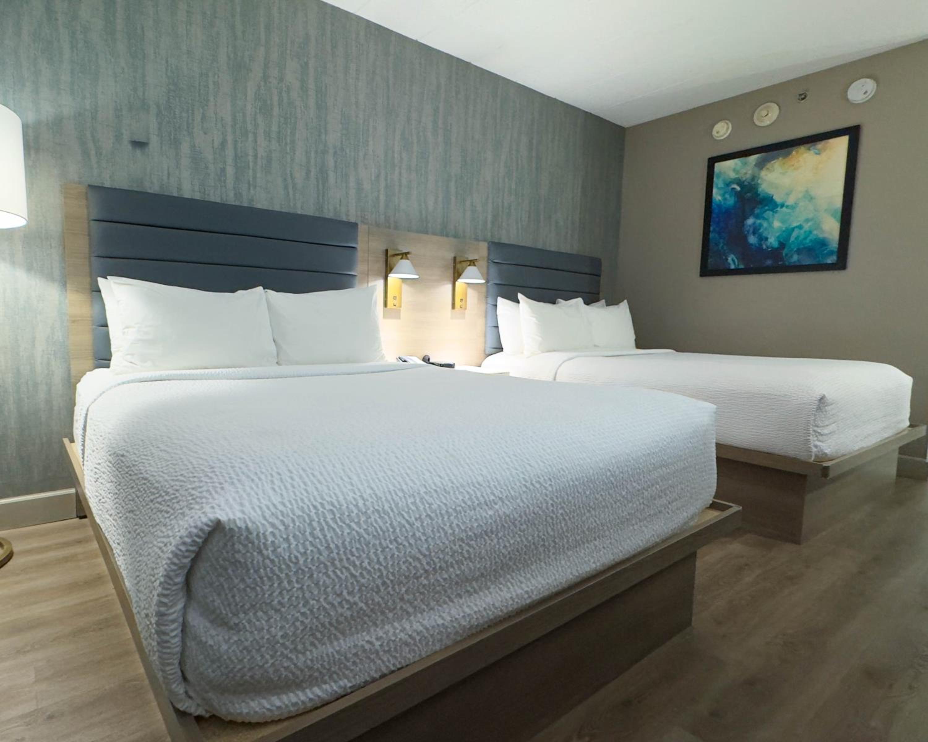 Room with Two Queen Beds -Pet Friendly/Non-Smoking - Photo 3