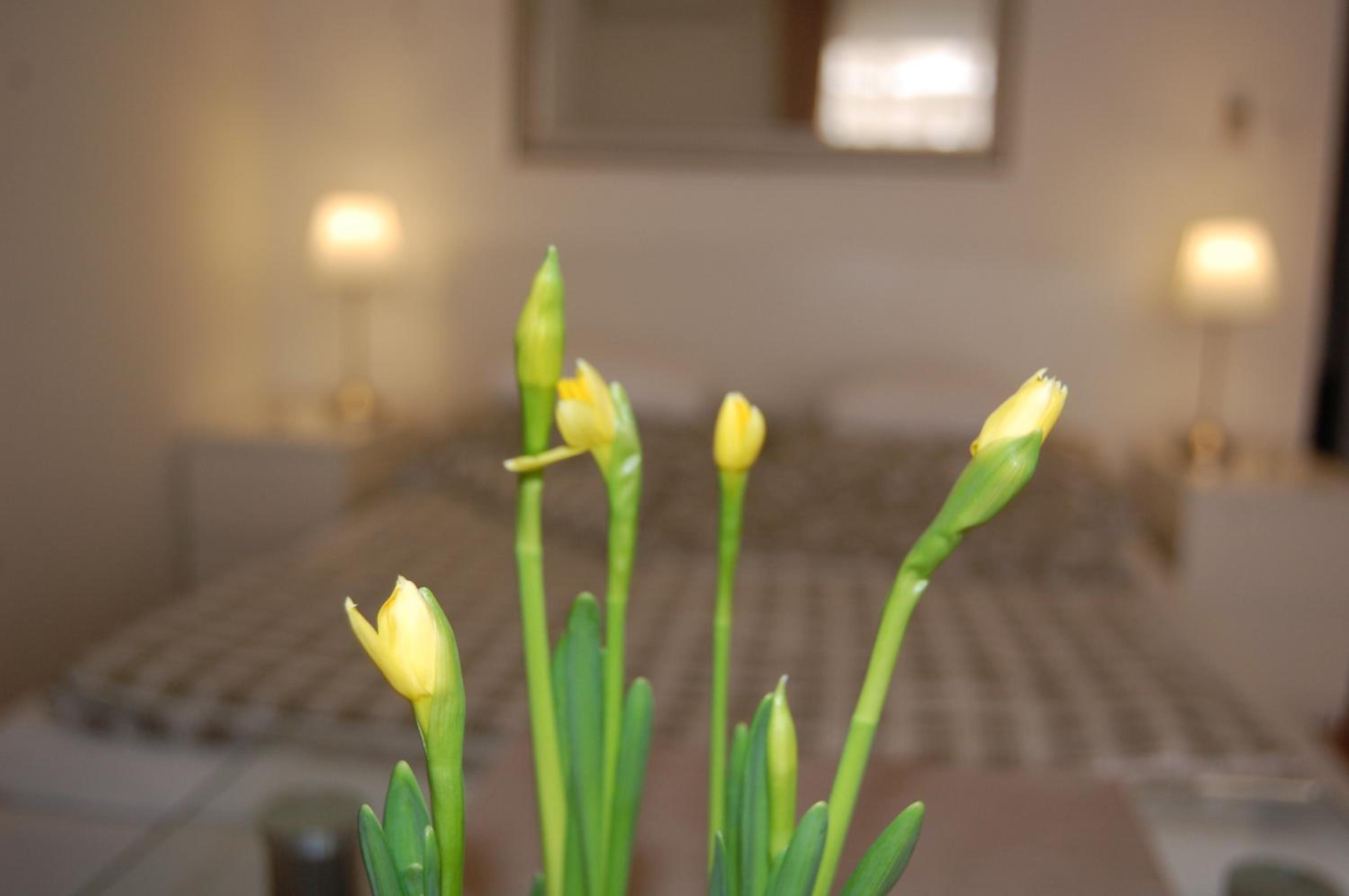 Apartment with Terrace - Photo 57