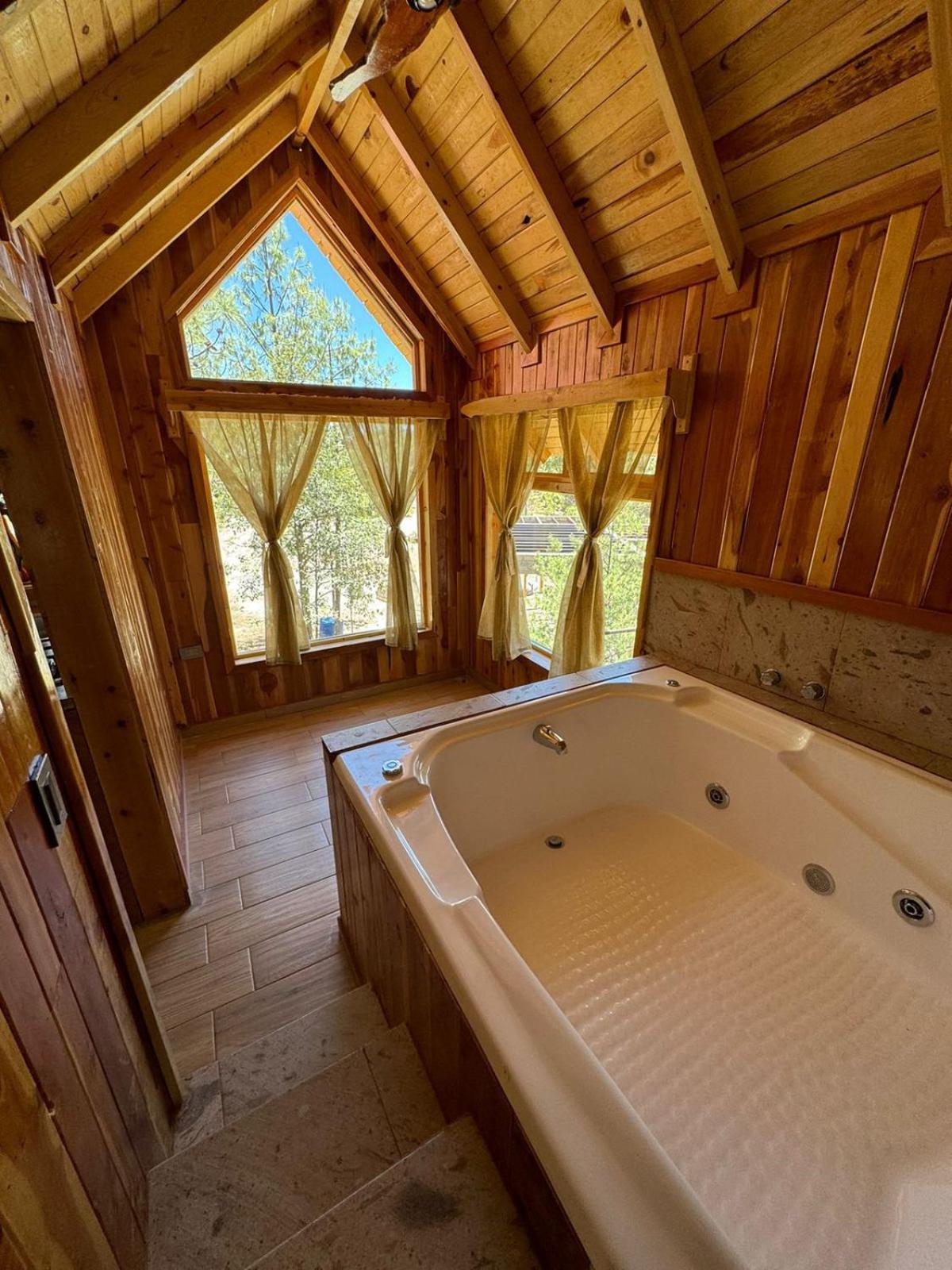 One-Bedroom Chalet photo 1
