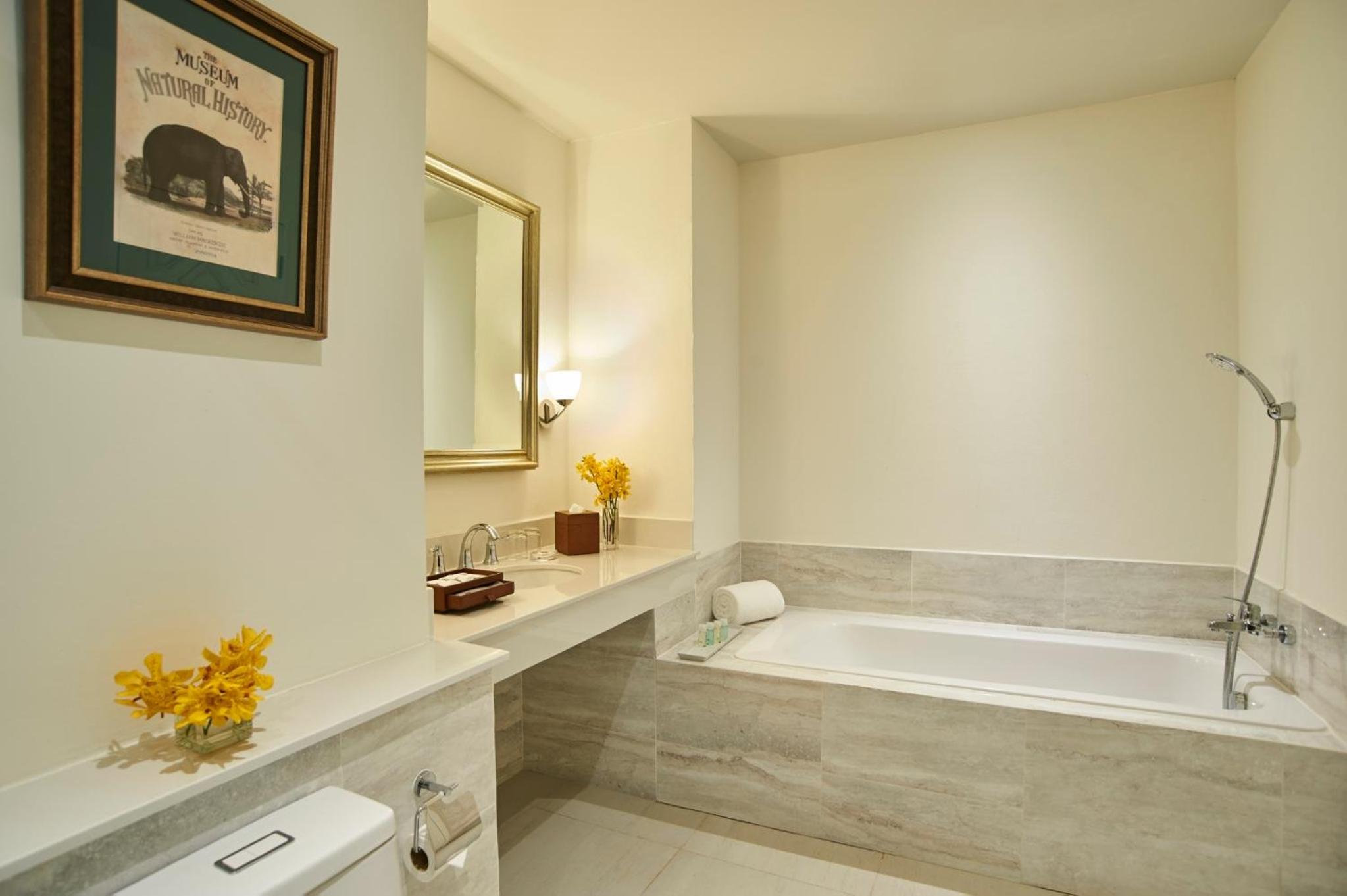 One-Bedroom Suite - Photo 5