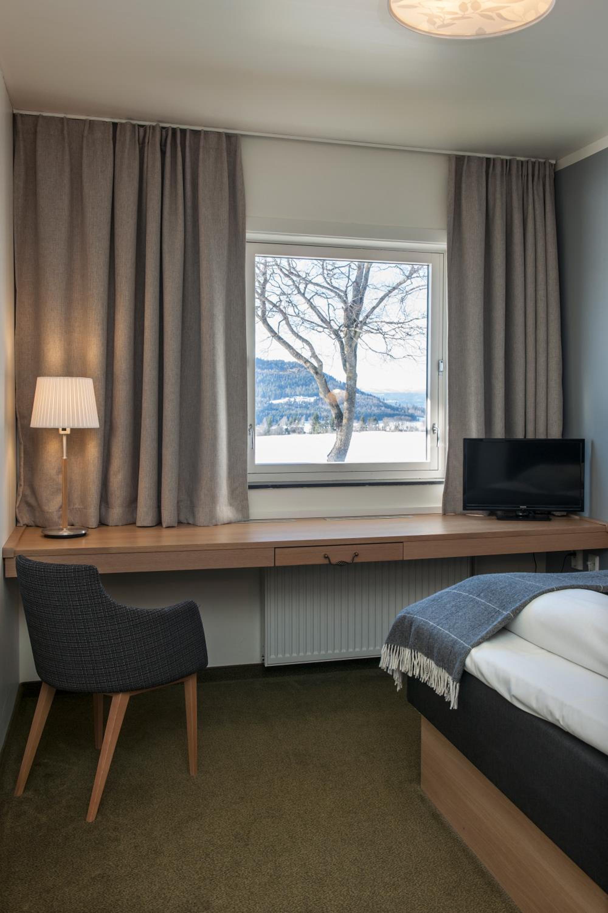 Single Room photo 1