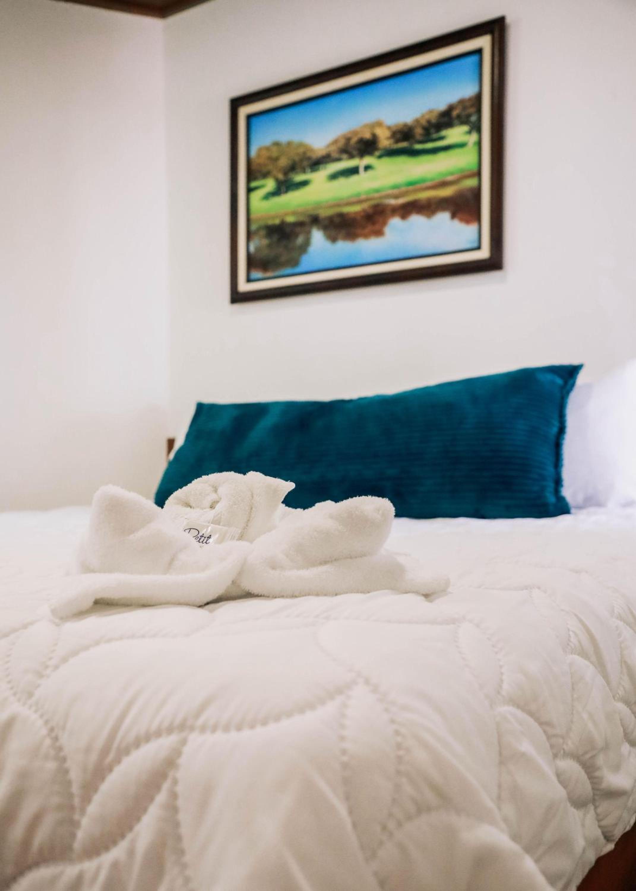 Deluxe Suite with Spa Bath