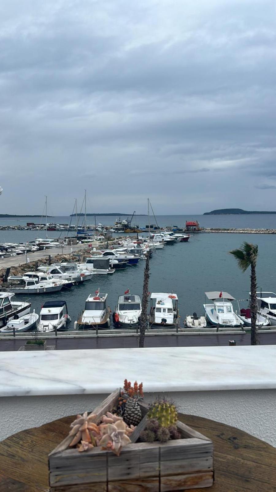 Suite with Sea View photo 3