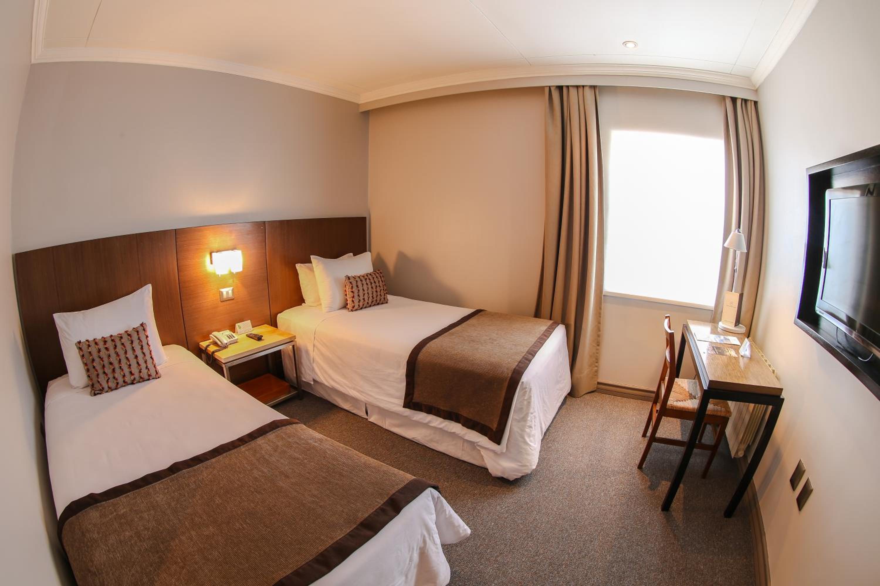 Twin Room photo 3