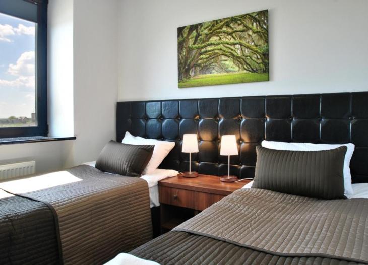 Comfort Apartment (2 Adults) - Photo 2