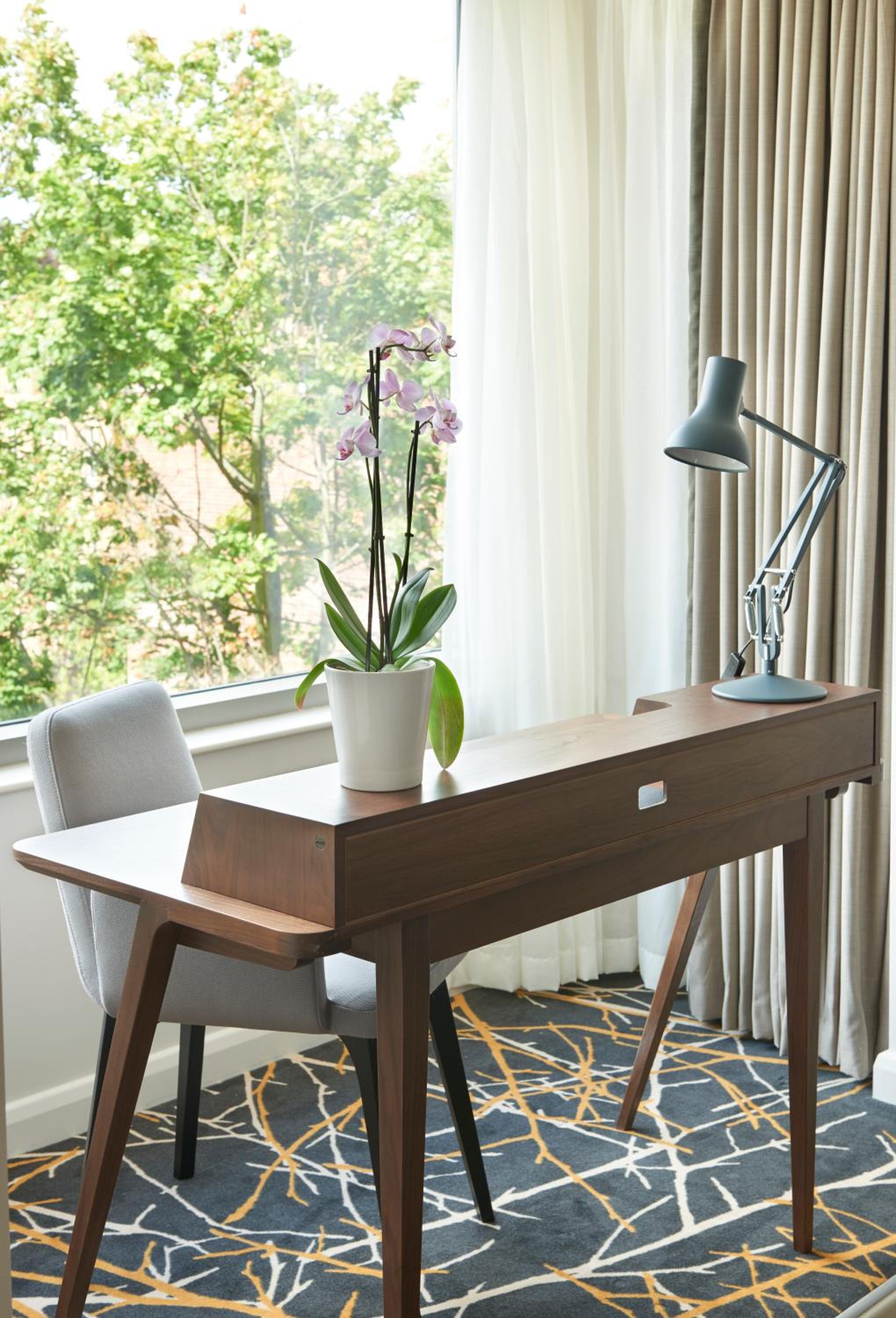 Hill Collection Suite - Photo 6