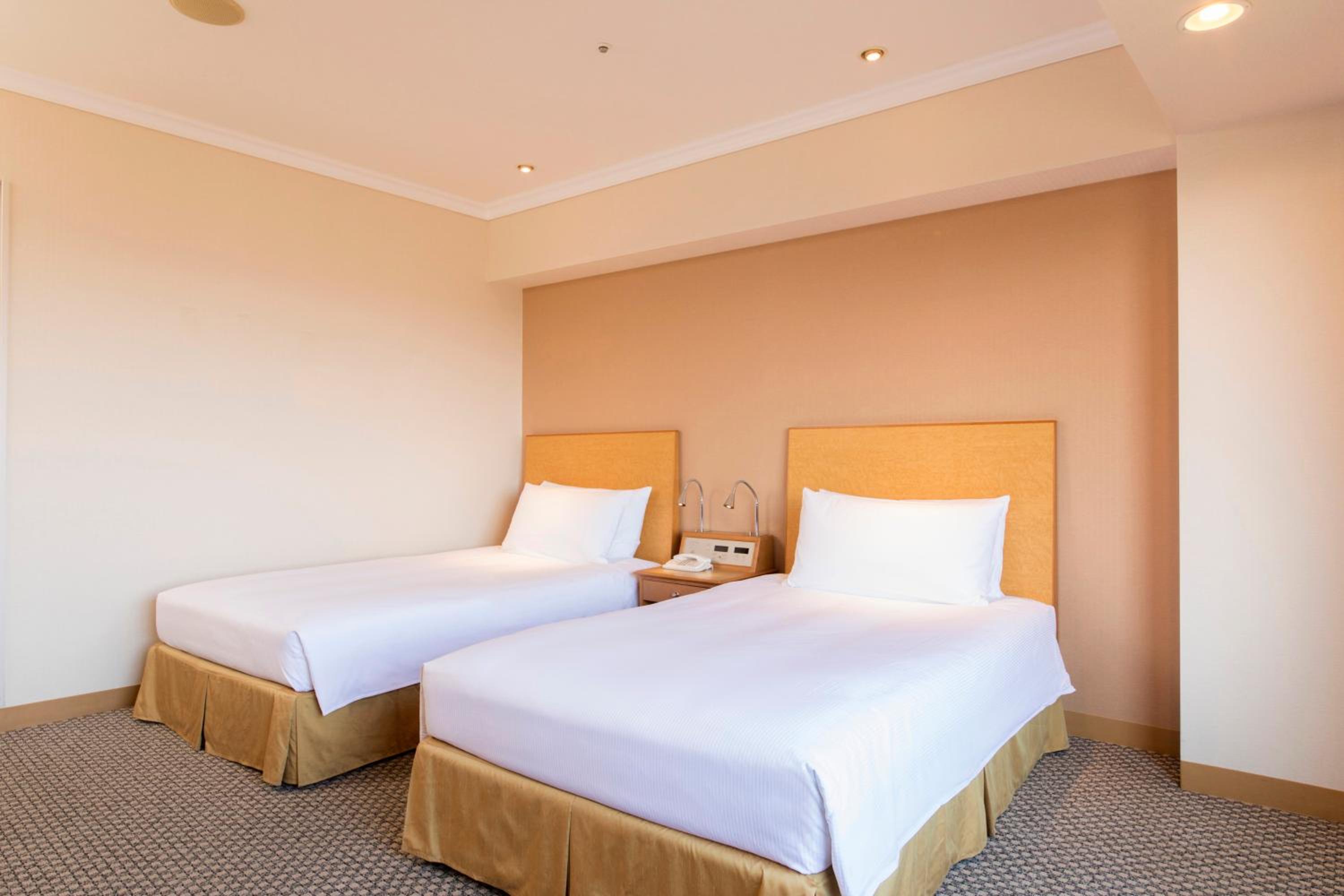 Deluxe Twin Room with Airport View - High Floor
