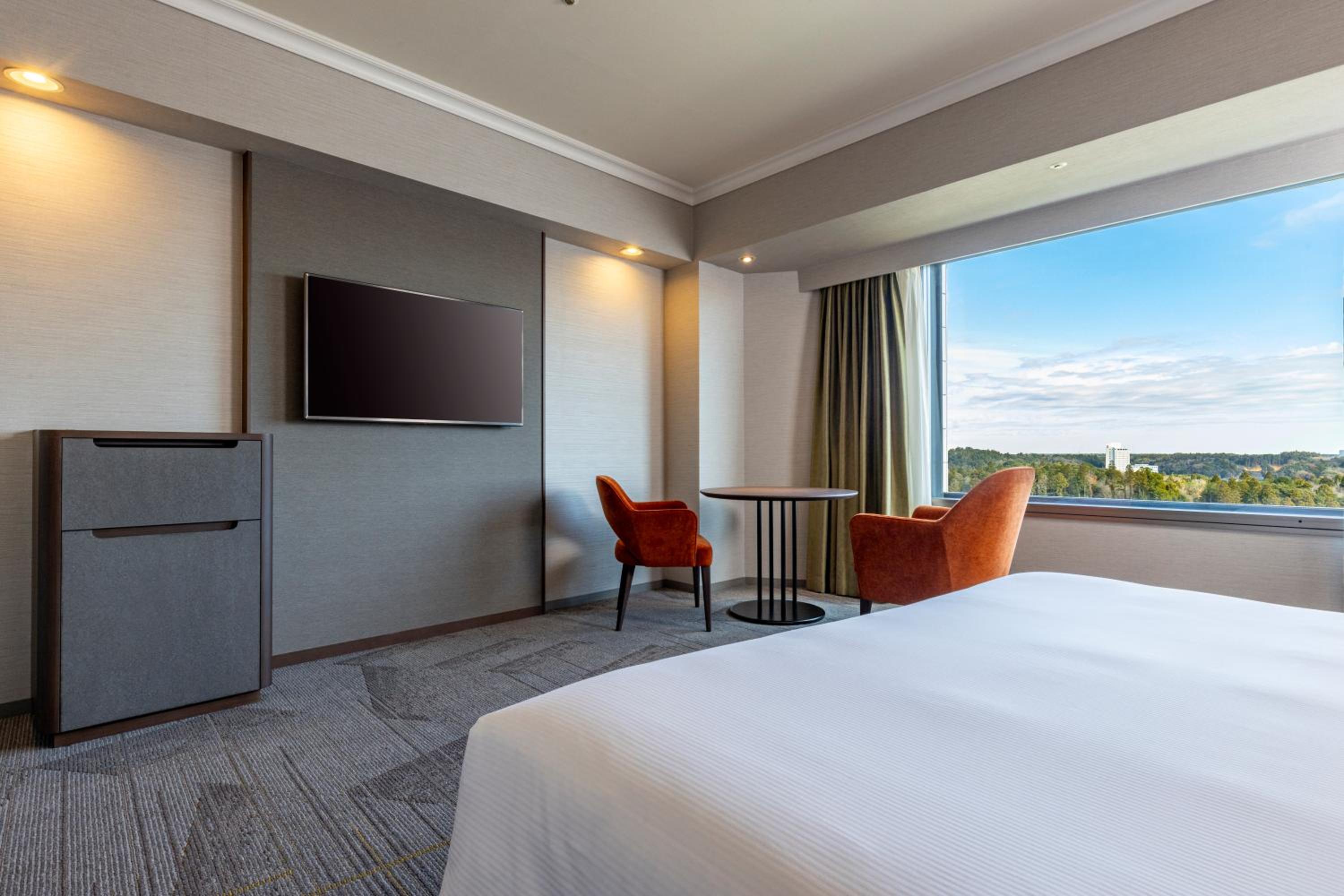 Deluxe Superior Queen Room - Photo 7