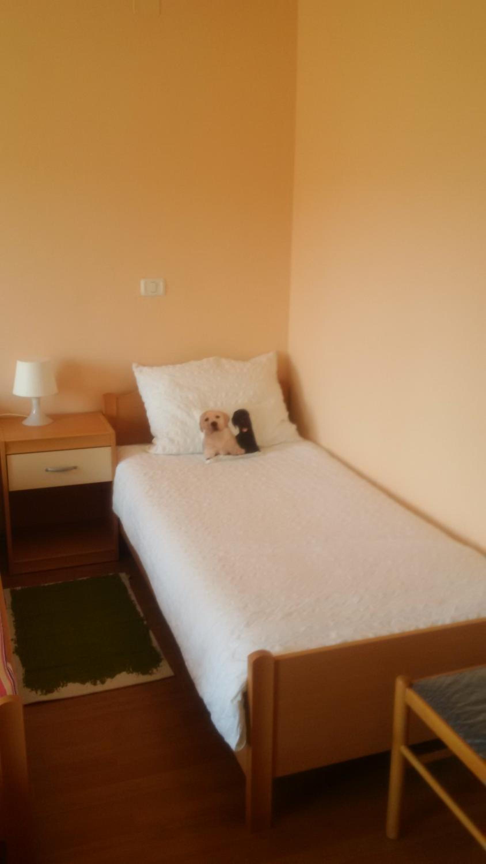 Double Room with Extra Bed photo 2