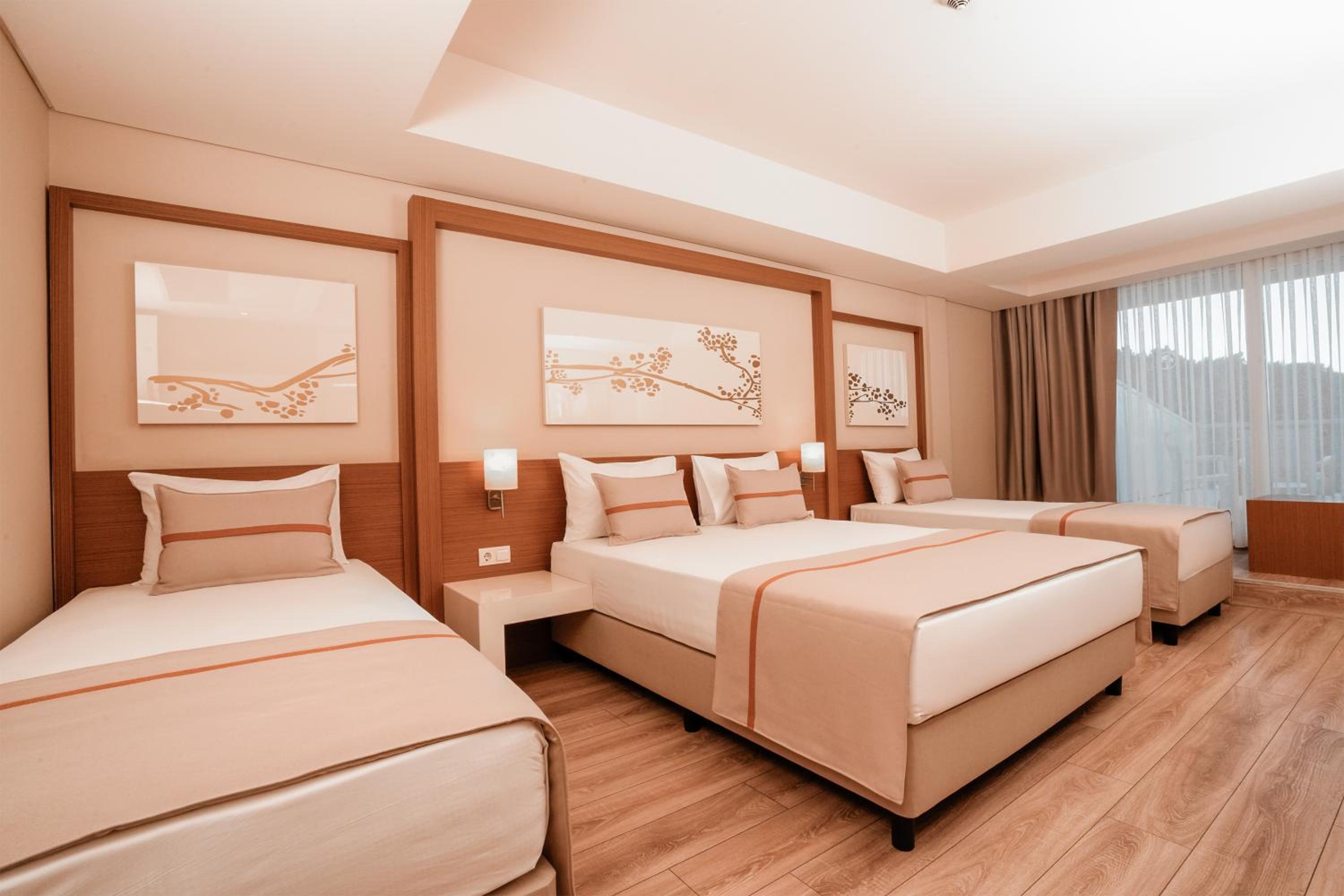 Large Triple Room photo 3