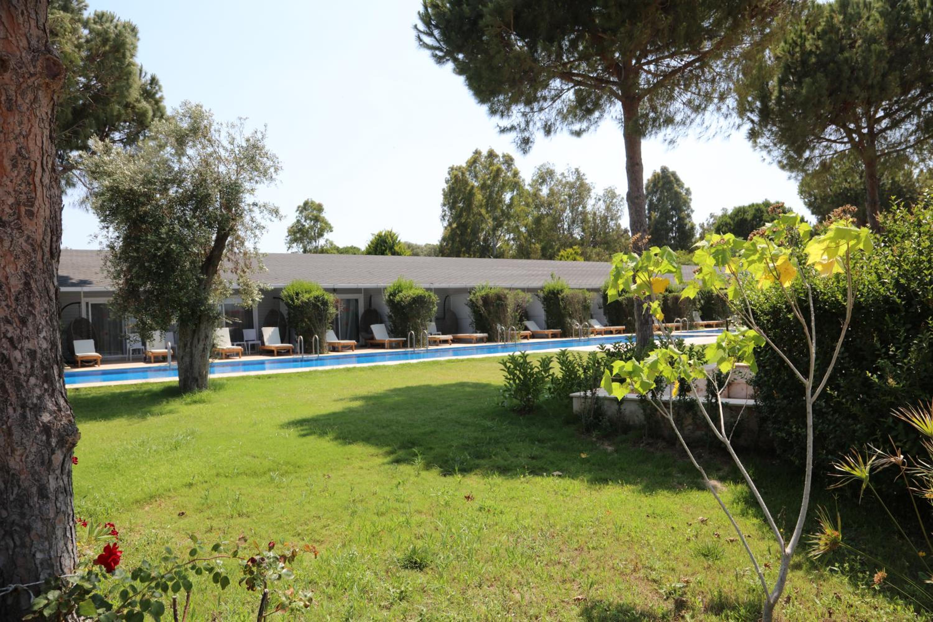 Bungalow With Garden View photo 3