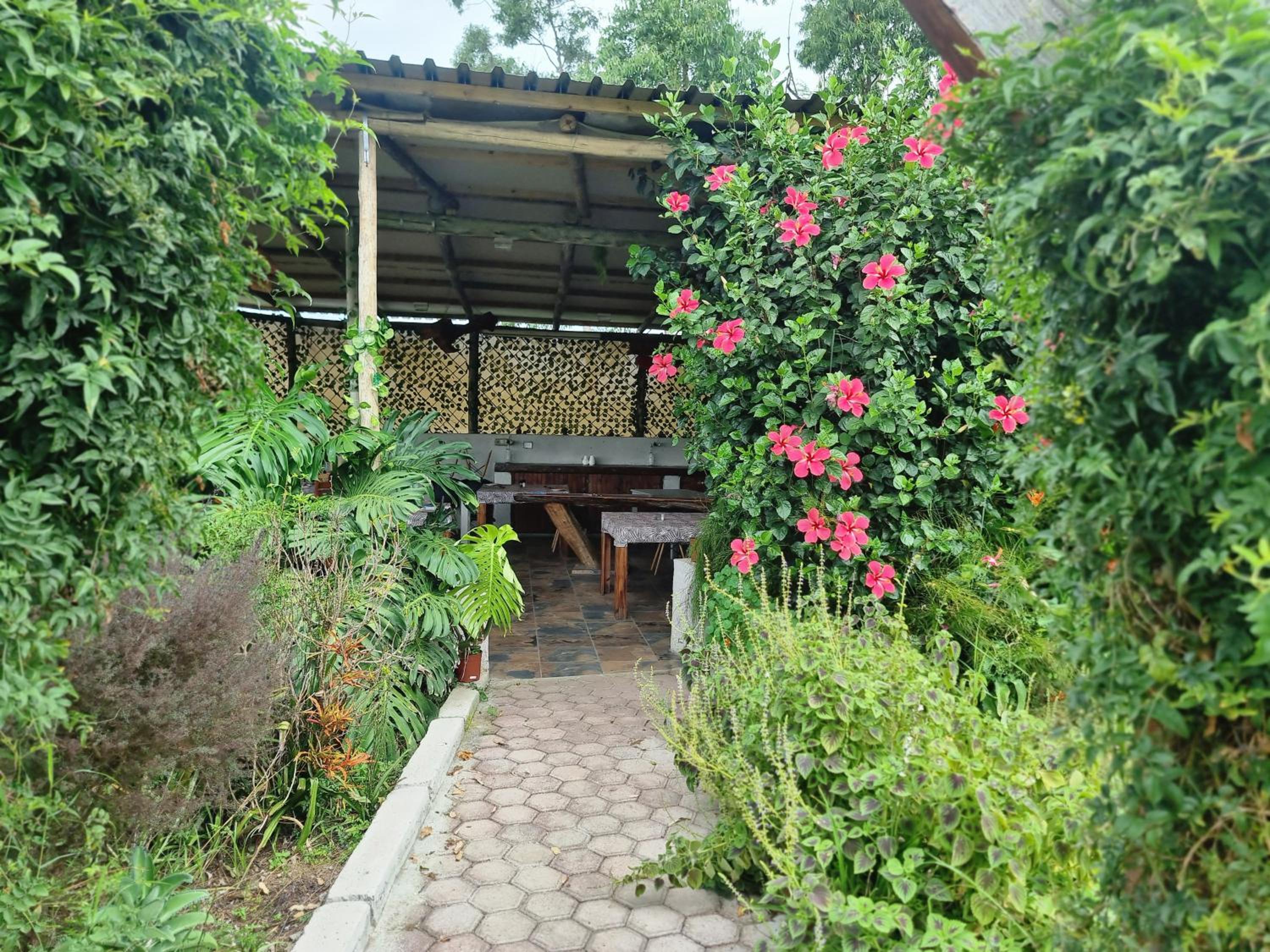 Suite with Terrace