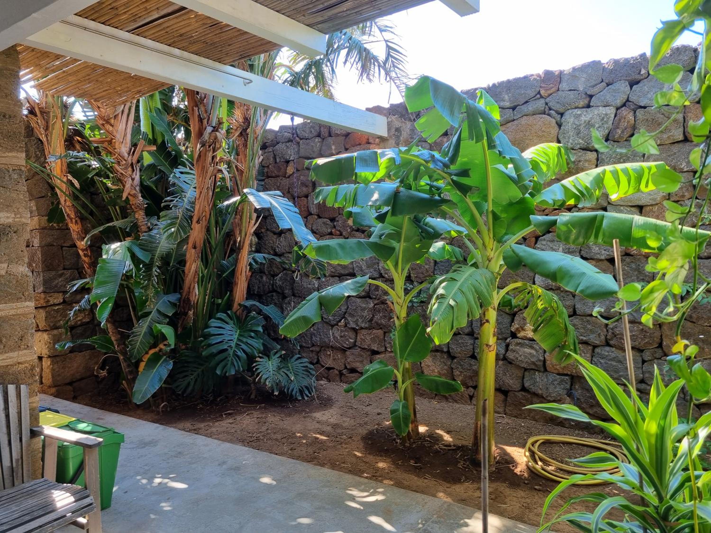 King Room with Garden View