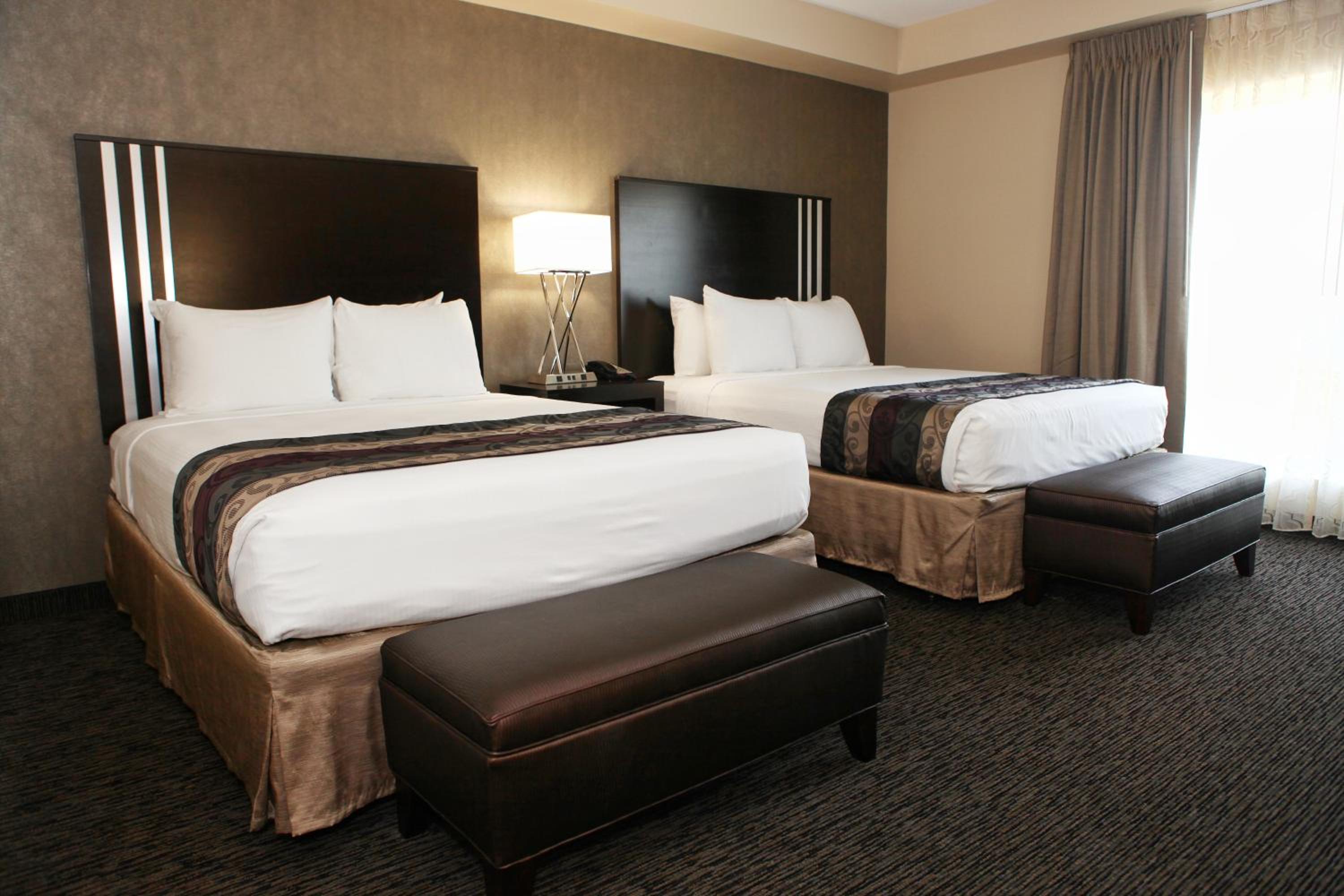 Queen Suite - Disability Access - Photo 1