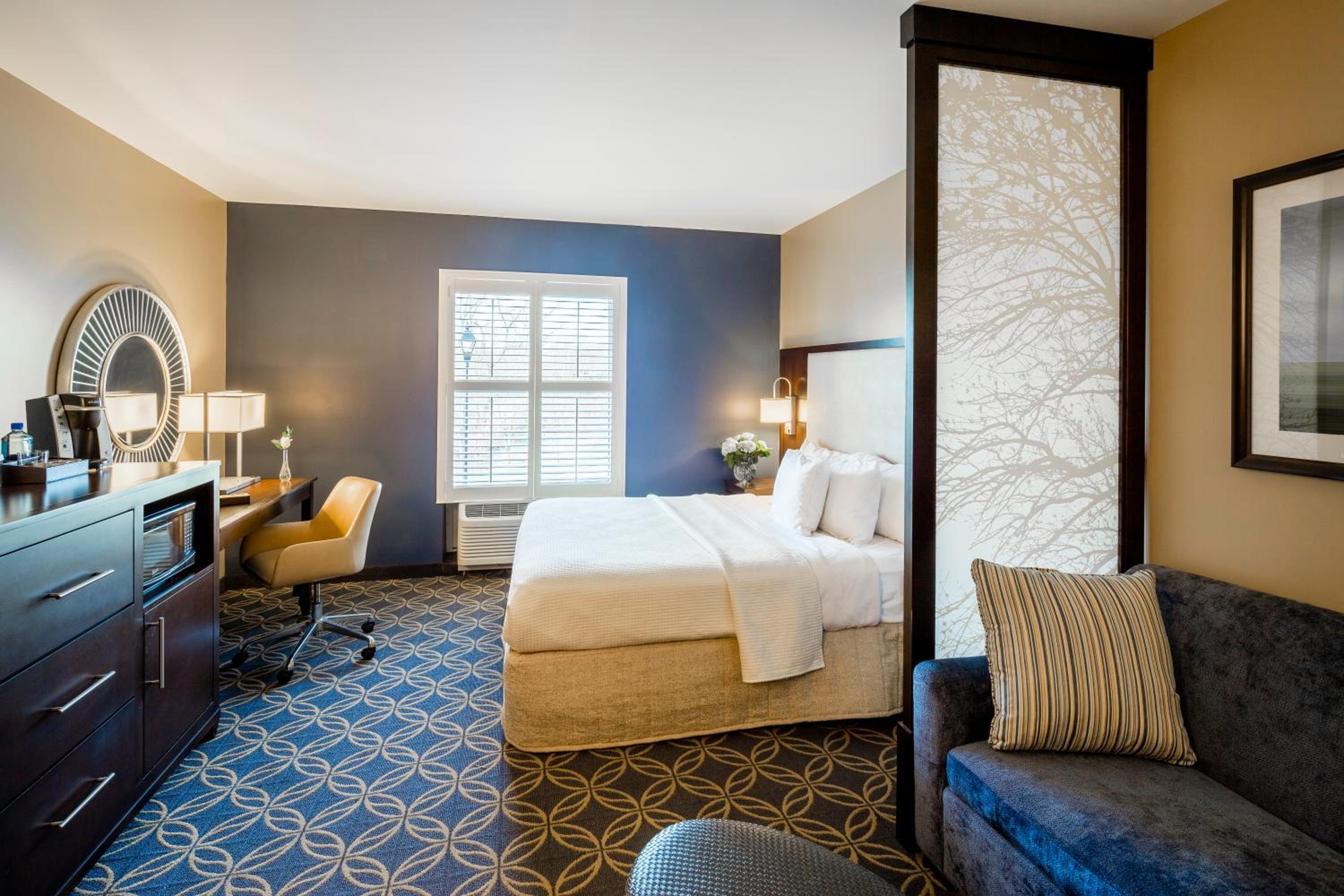 Deluxe King Suite photo 2