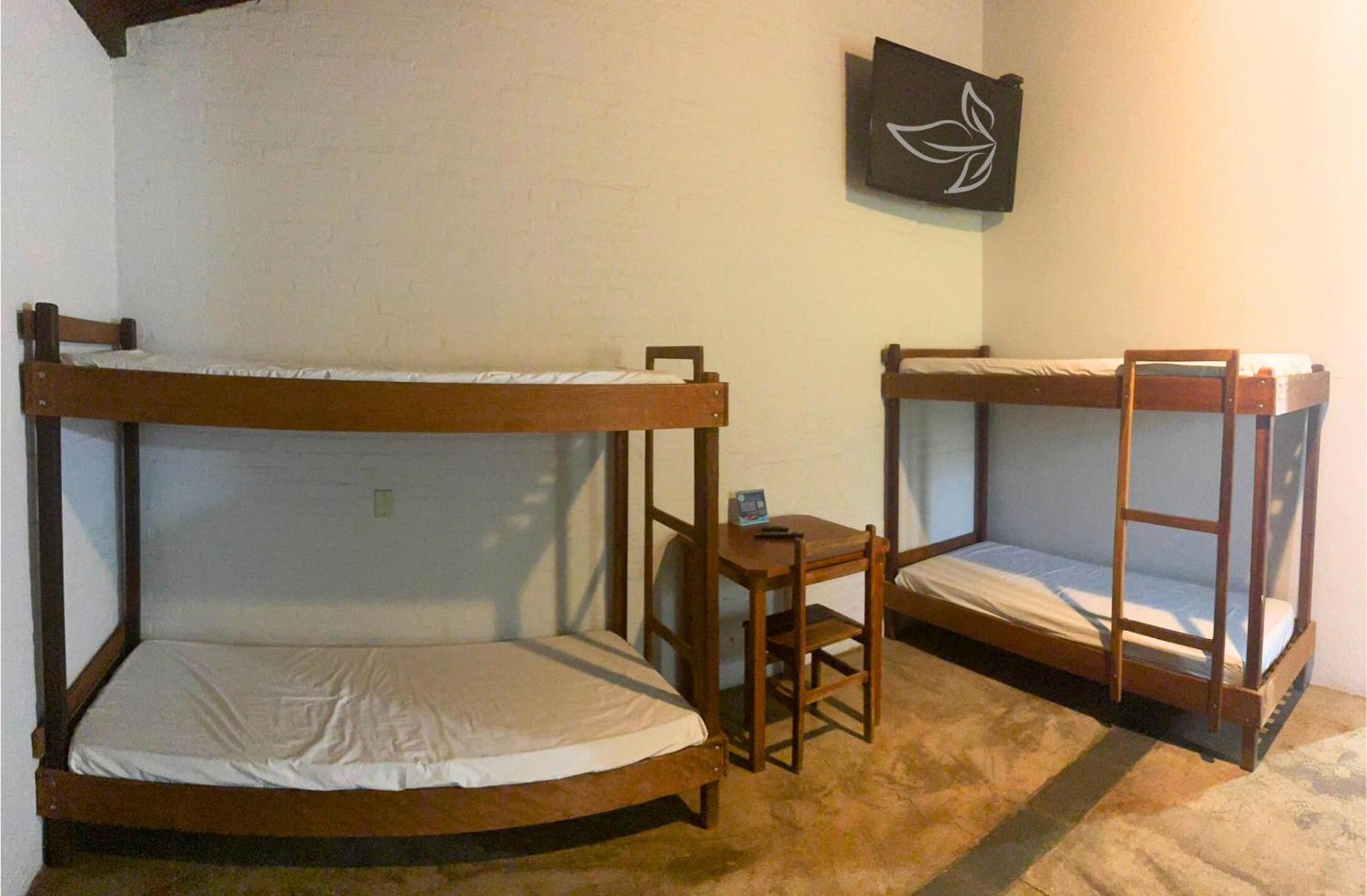 Family Suite photo 1