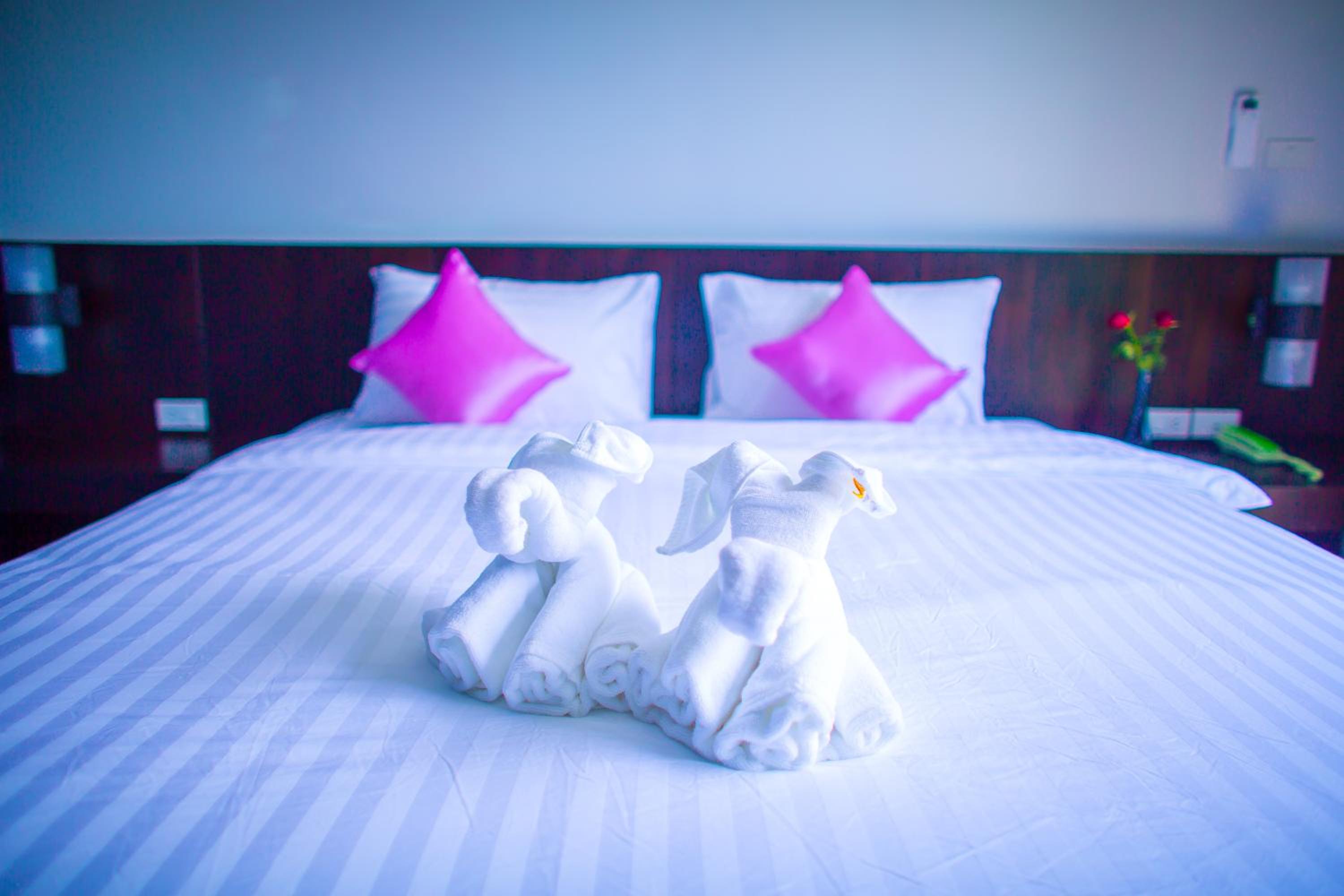 Superior King Room photo 1