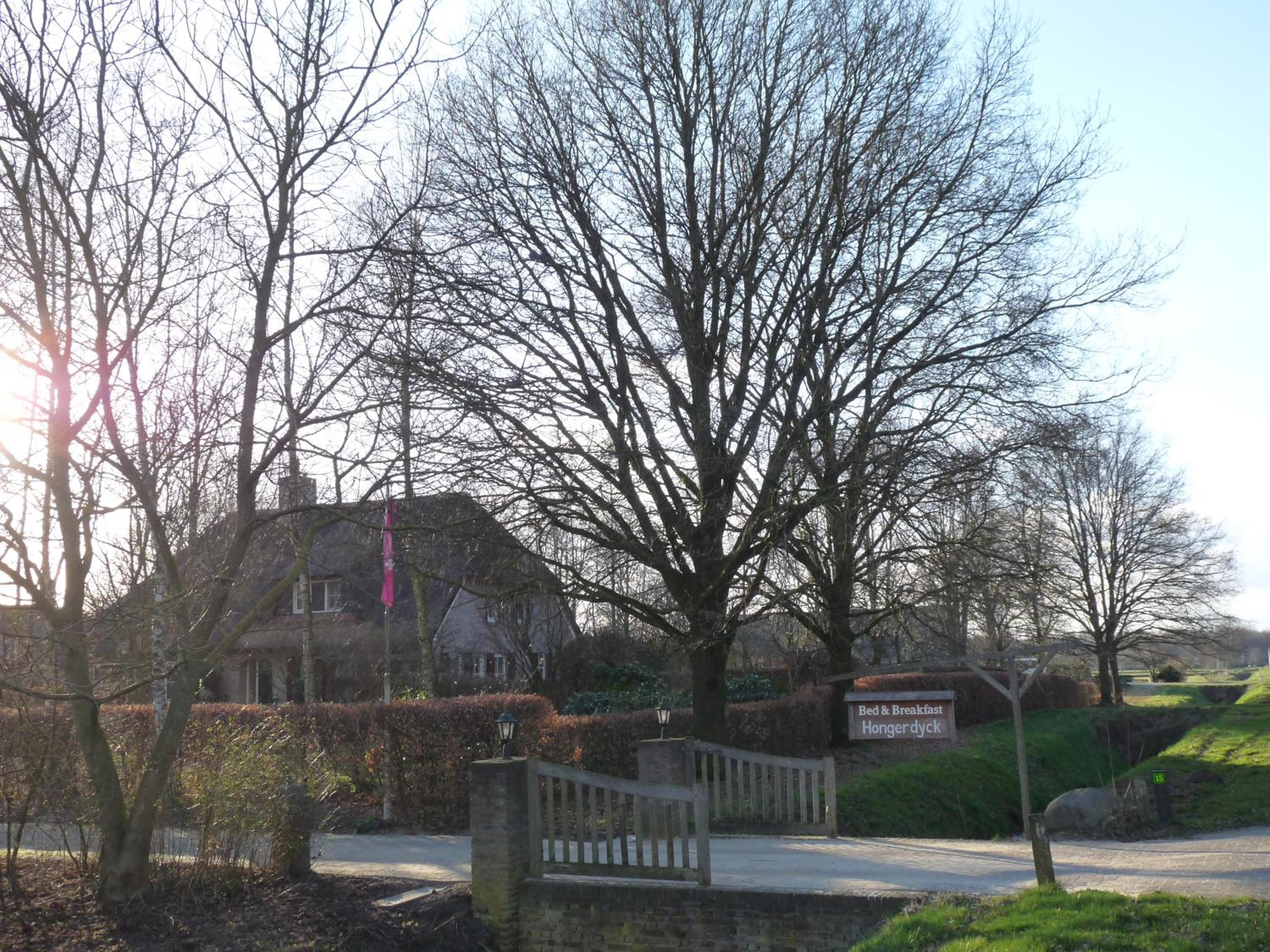 Holiday Home photo 3