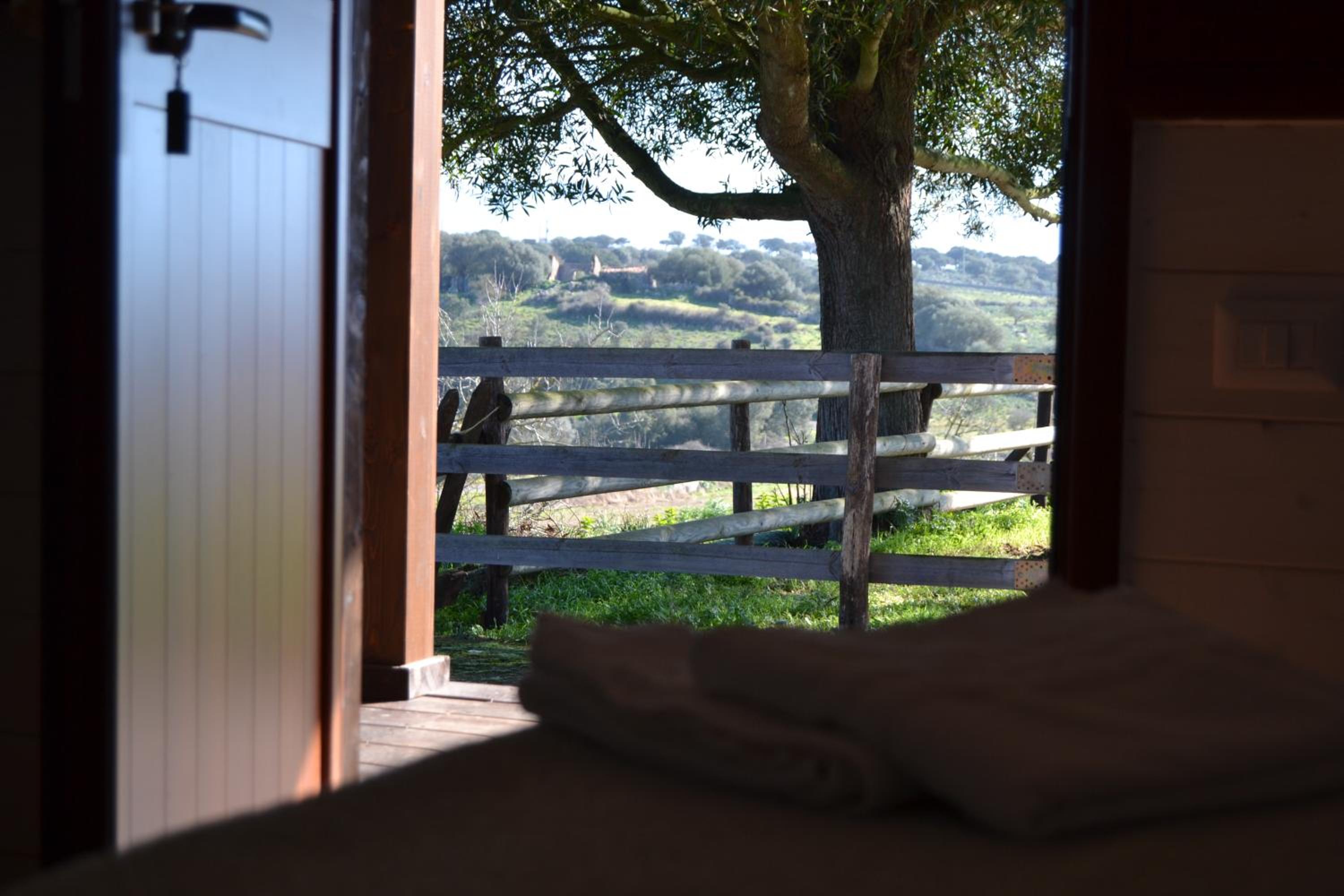 Double or Twin Room with Terrace photo 3