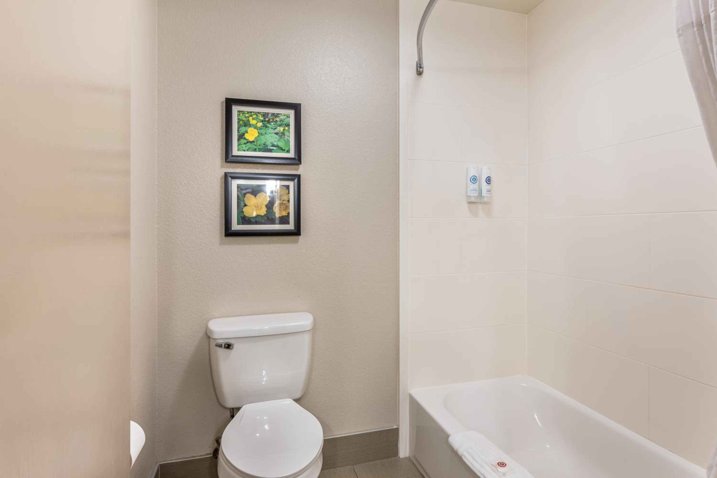 King Room - Non-Smoking - Photo 3