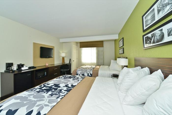 Queen Room with Two Queen Beds - Accessible/Non-Smoking  photo 3