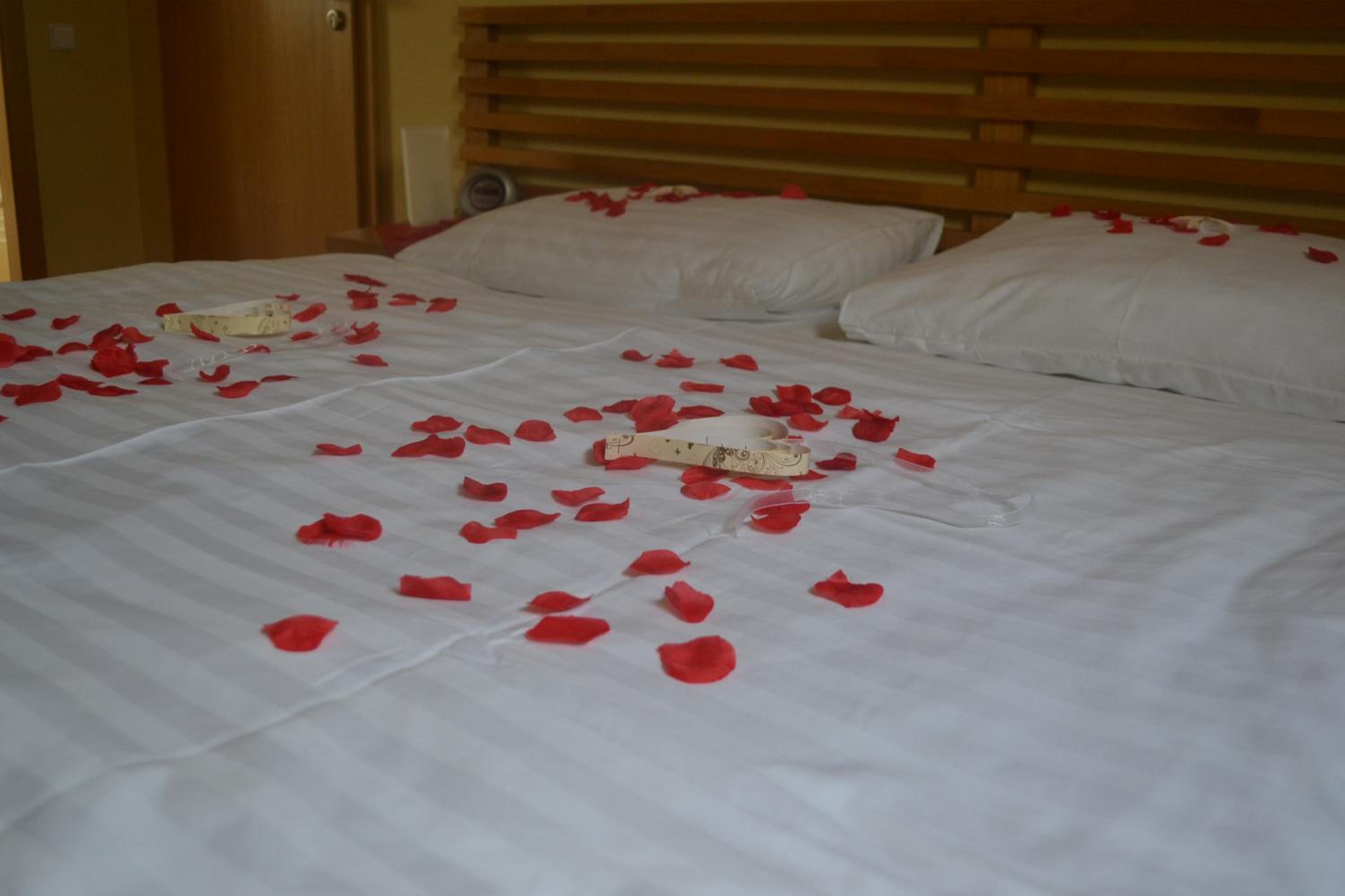 Standard Double or Twin Room photo 1