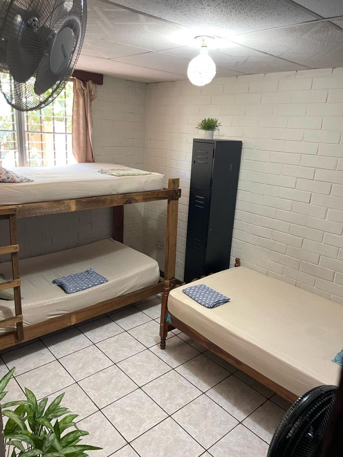 Single Bed in Mixed Dormitory Room