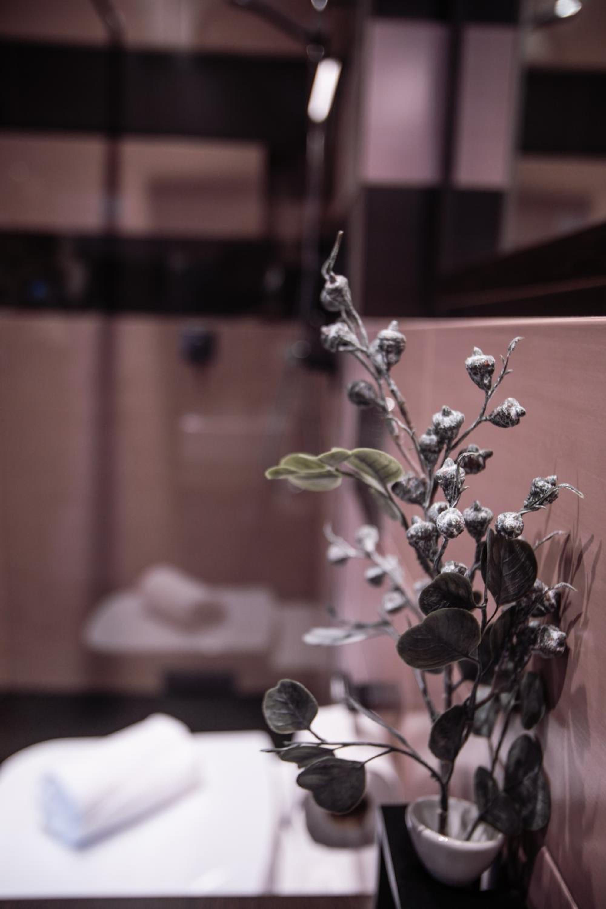 Suite - Photo 1