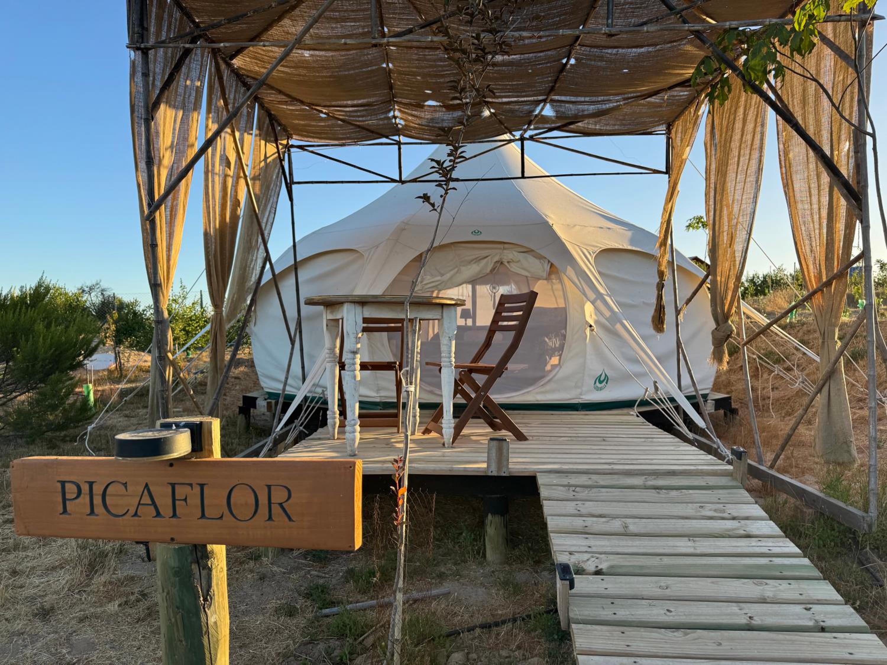 Tent photo 1